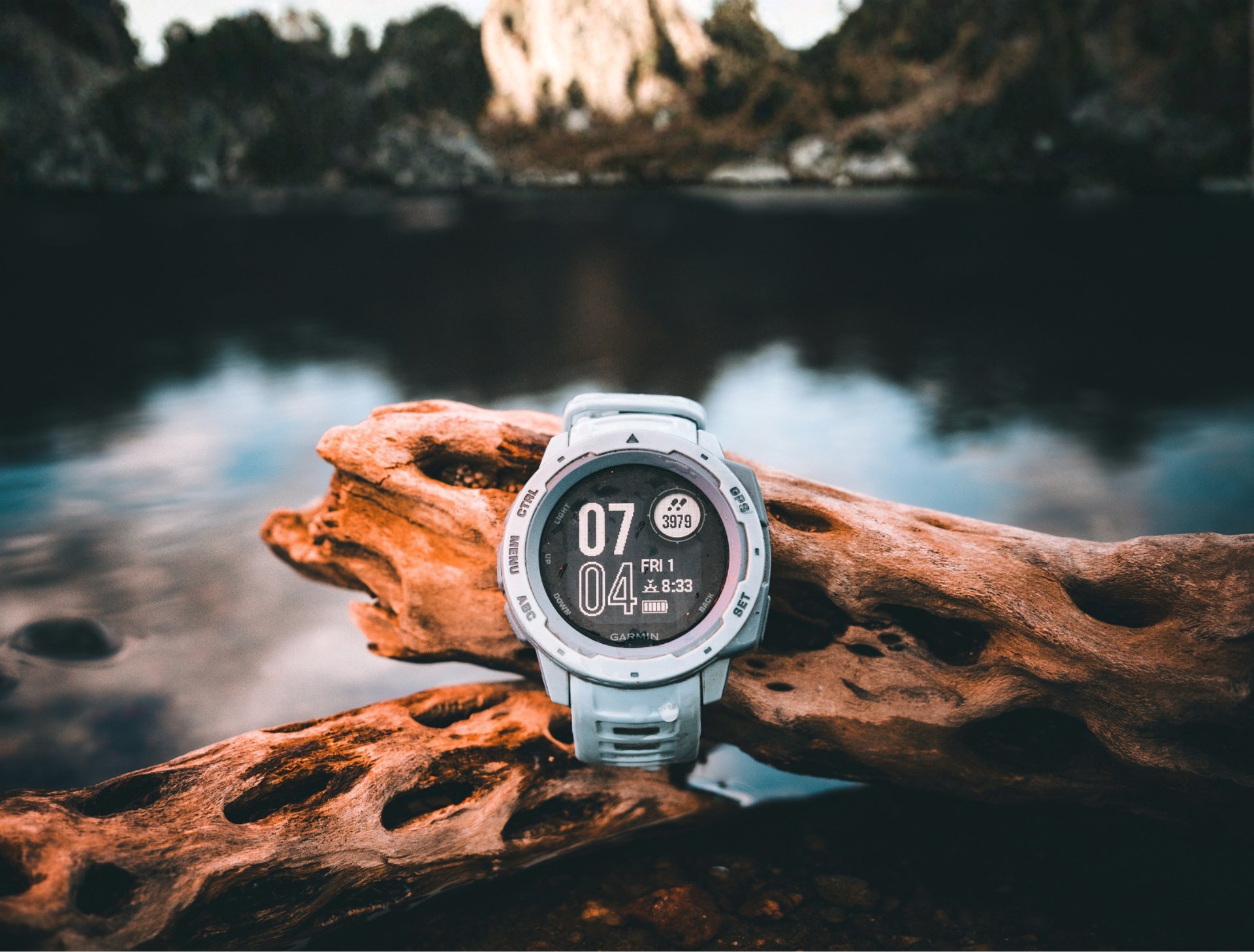 brown deer under tree