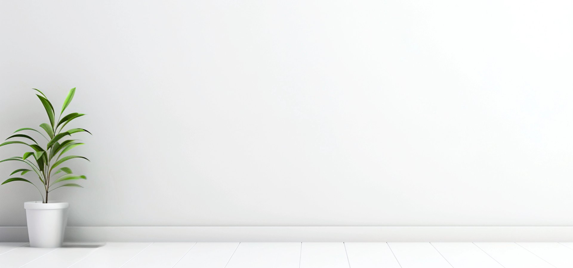 Sala minimalista de cor branca com apenas um vaso de planta no canto inferior esquerdo