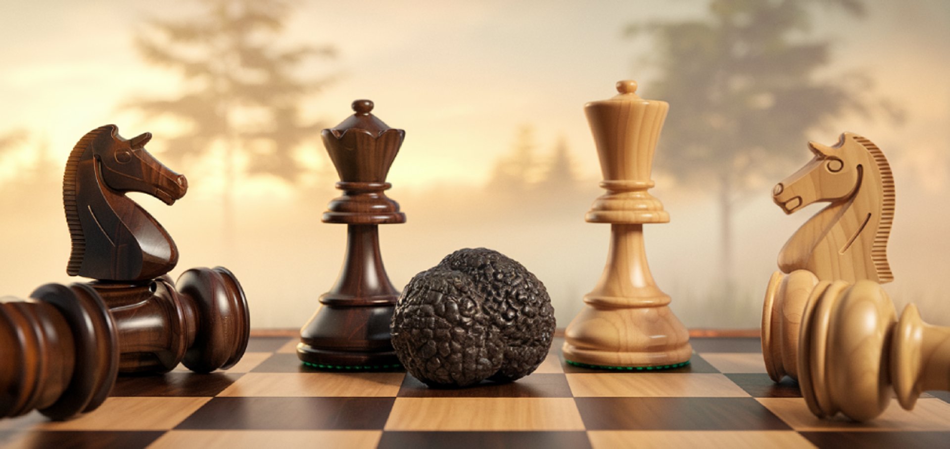 échecs et truffes banderole