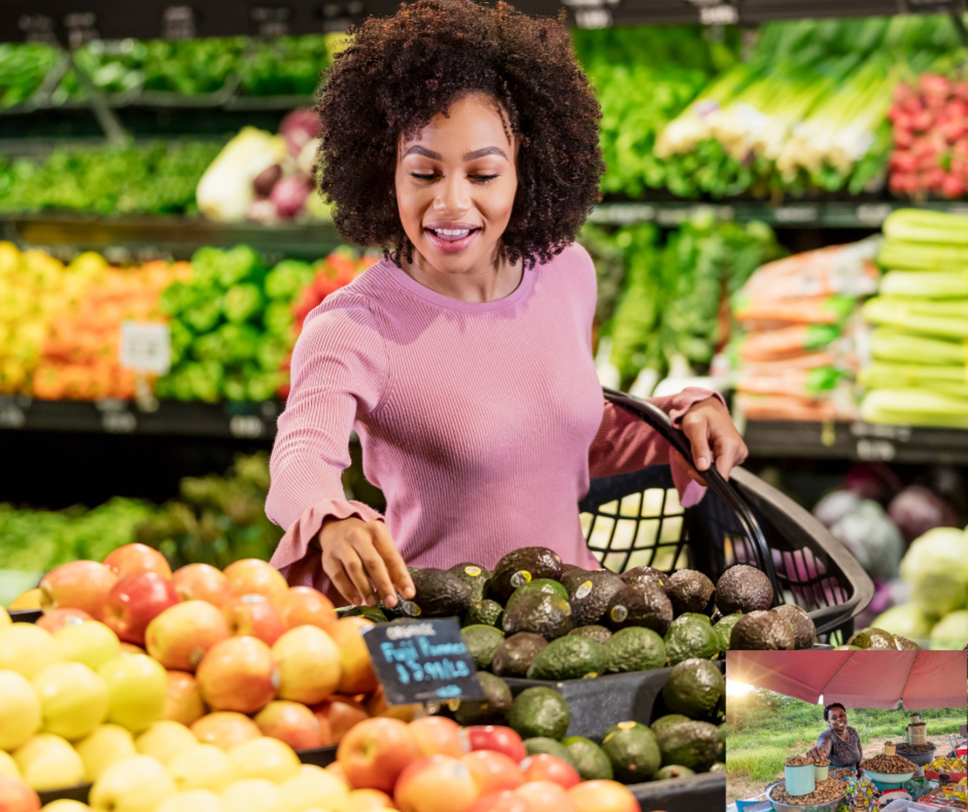 green leafed trees surrounded by grass