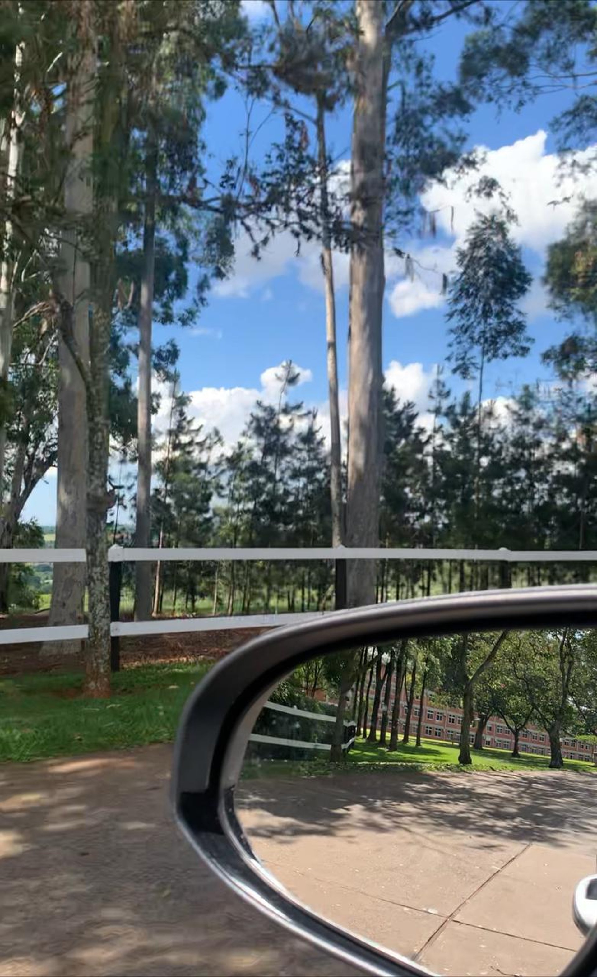 black and brown leather padded tub sofa