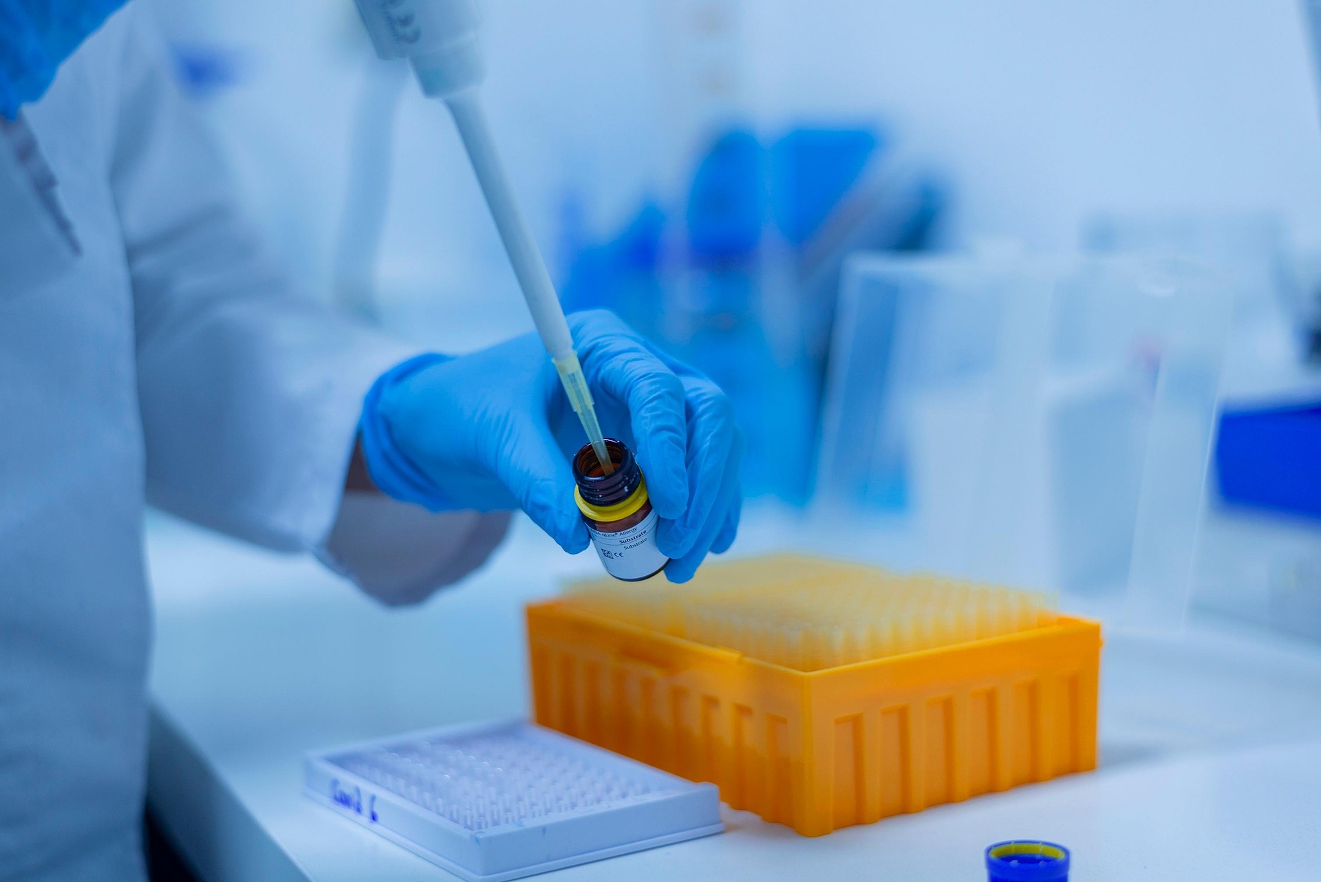 a gloved hand holding a tray of test tubes