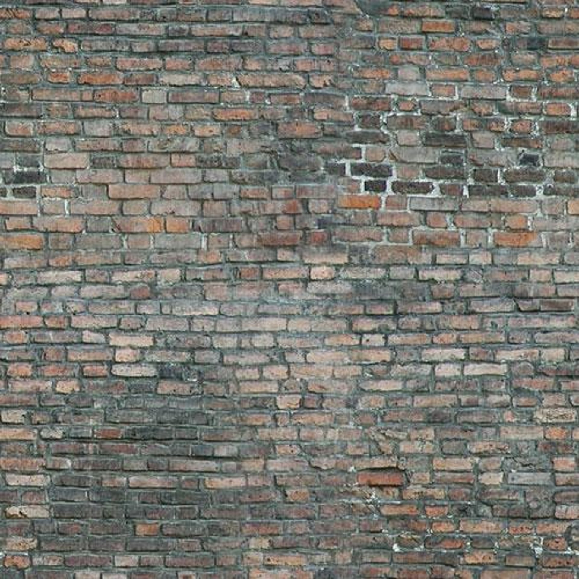 a black and white cat sitting on top of a brick wall