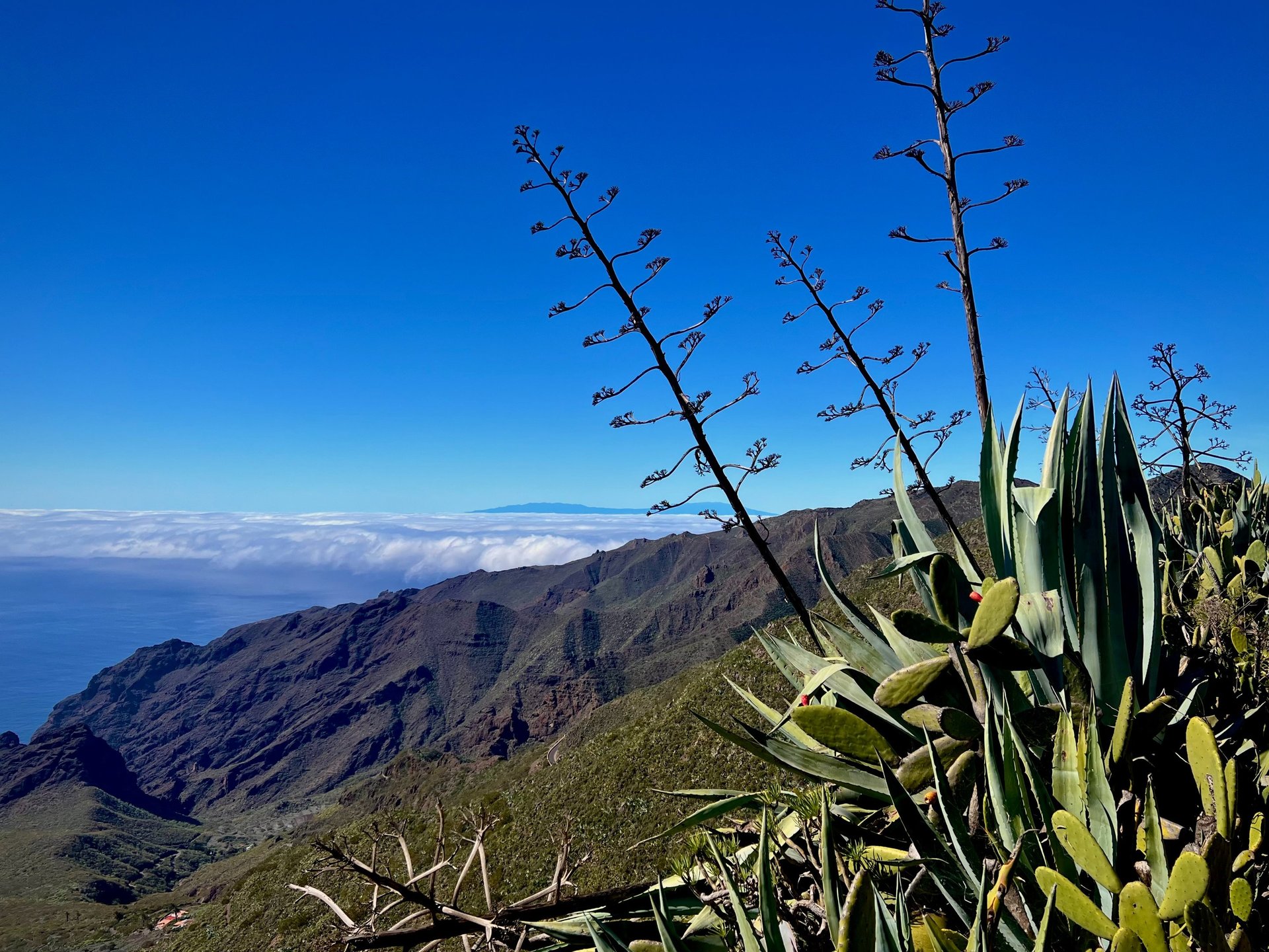 gray computer monitor