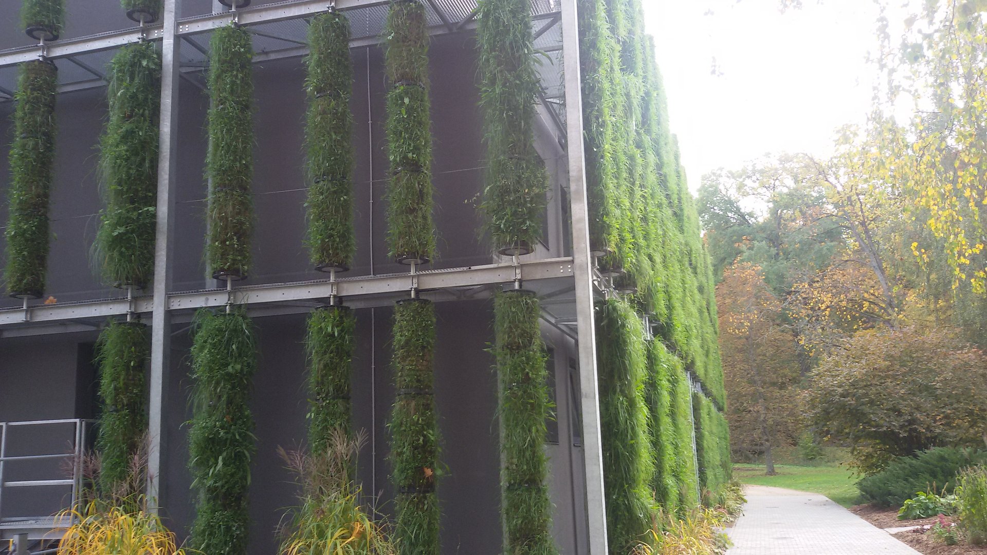 woman wearing yellow long-sleeved dress under white clouds and blue sky during daytime