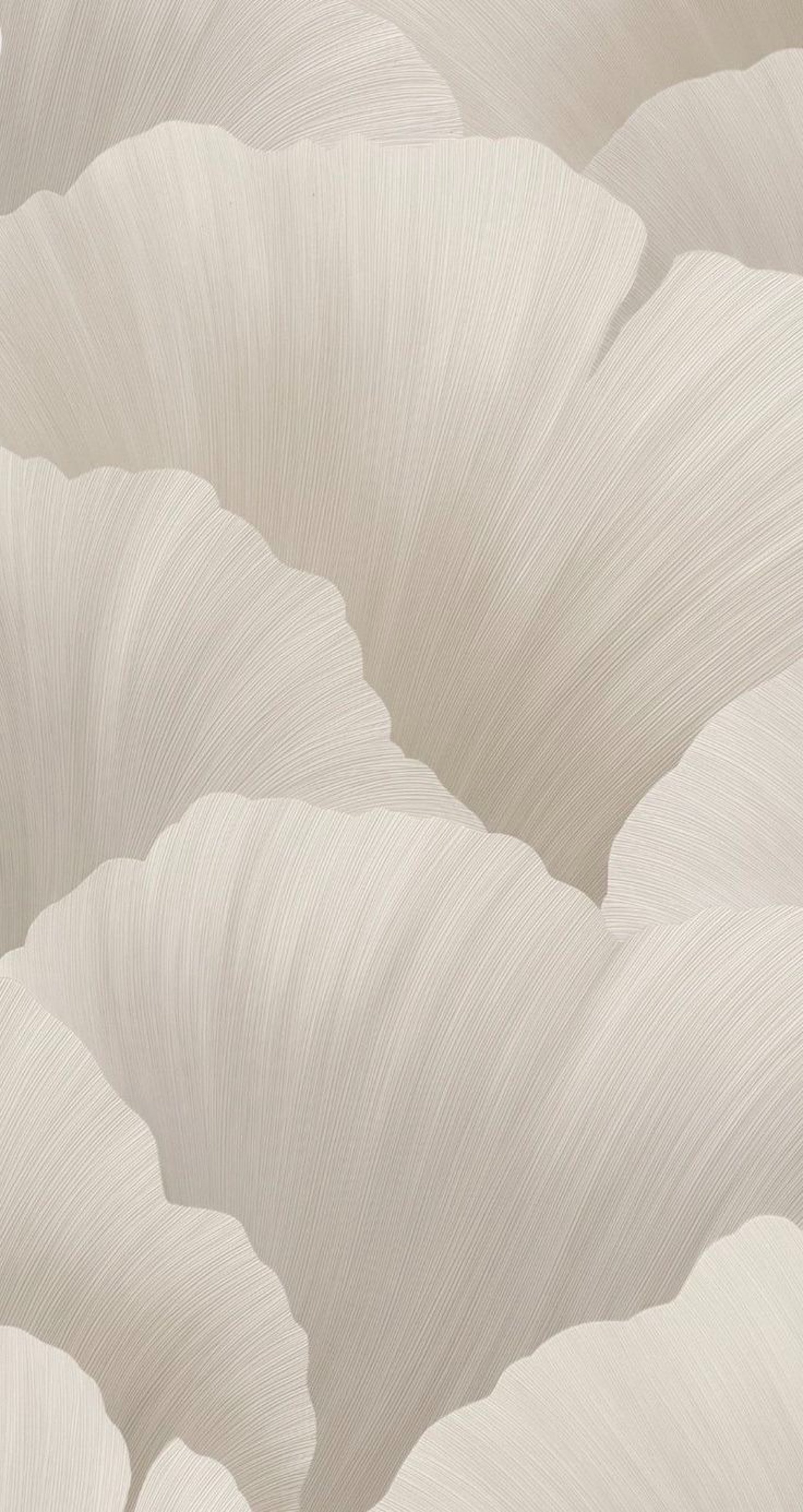 an abstract photo of a curved building with a blue sky in the background