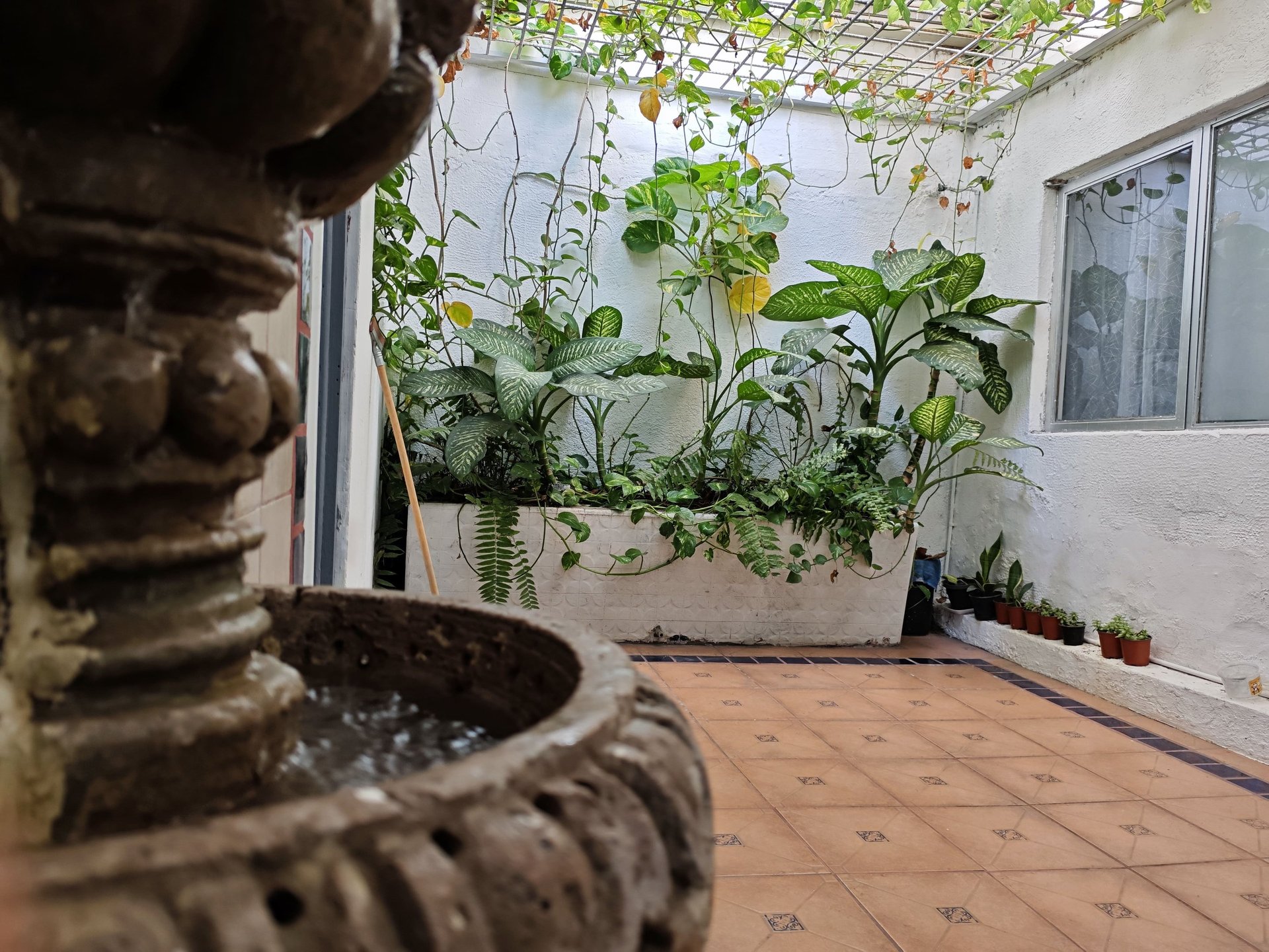 Pasillo interior de Sirona Therapy en Guadalajara con jardín y fuente, diseñado para el bienestar del paciente.