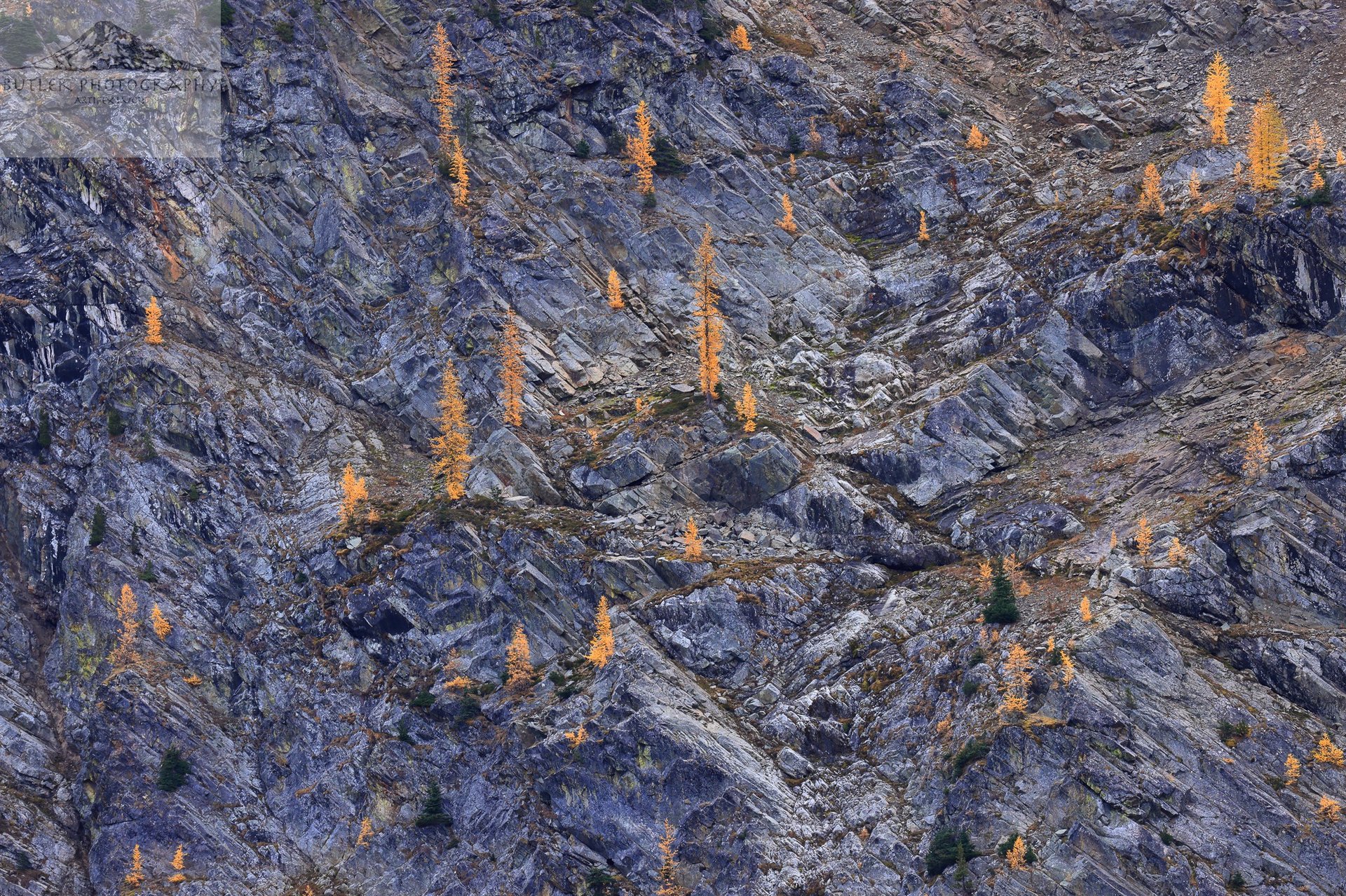 gray computer monitor