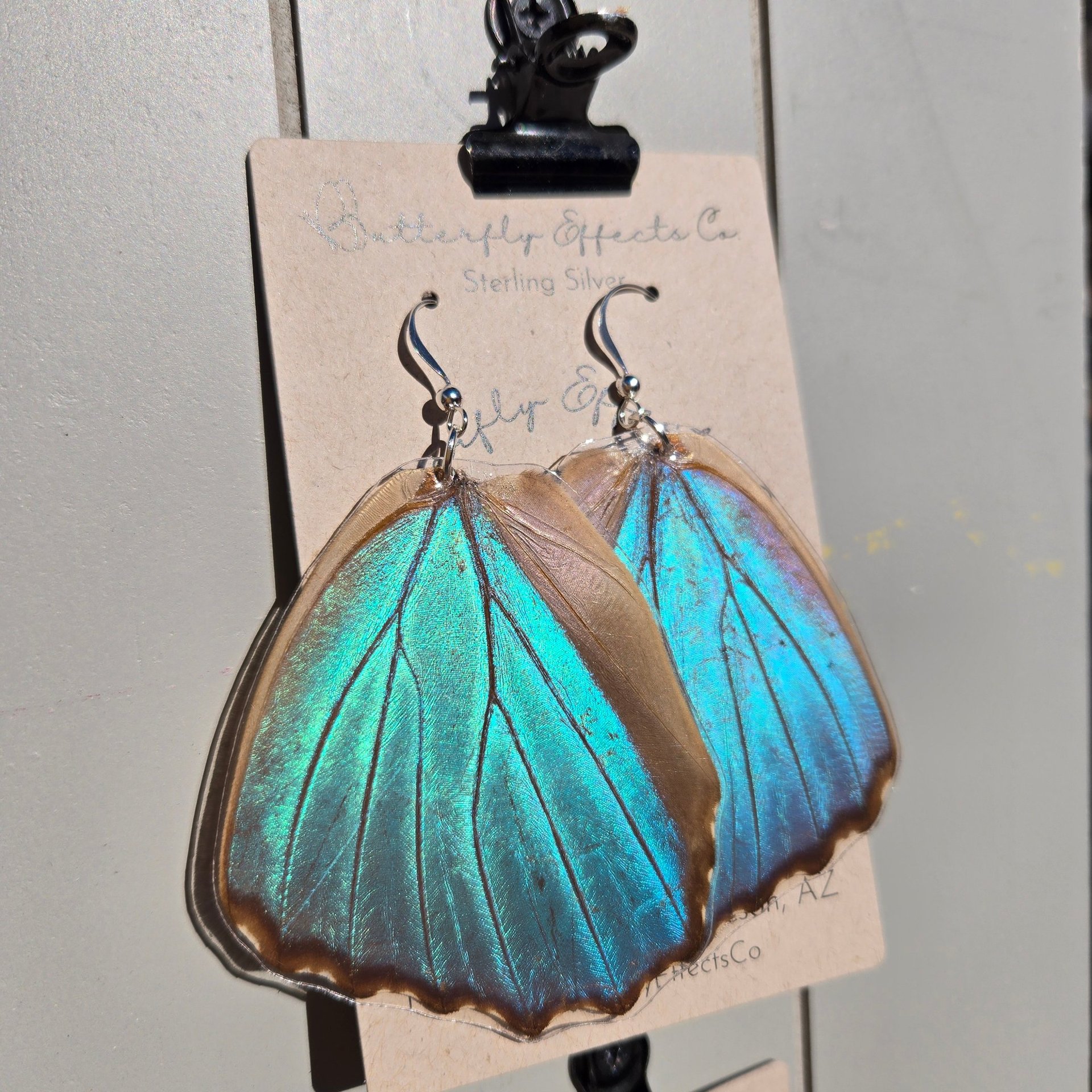 A display showing eight pairs of different butterfly wing earrings