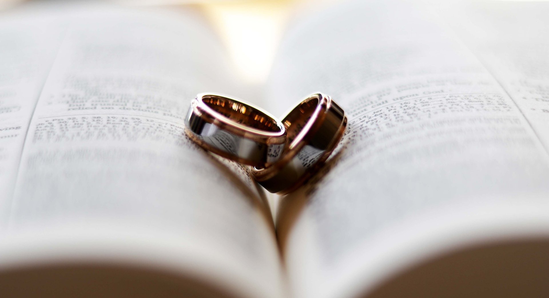 a close up of a bunch of green leaves
