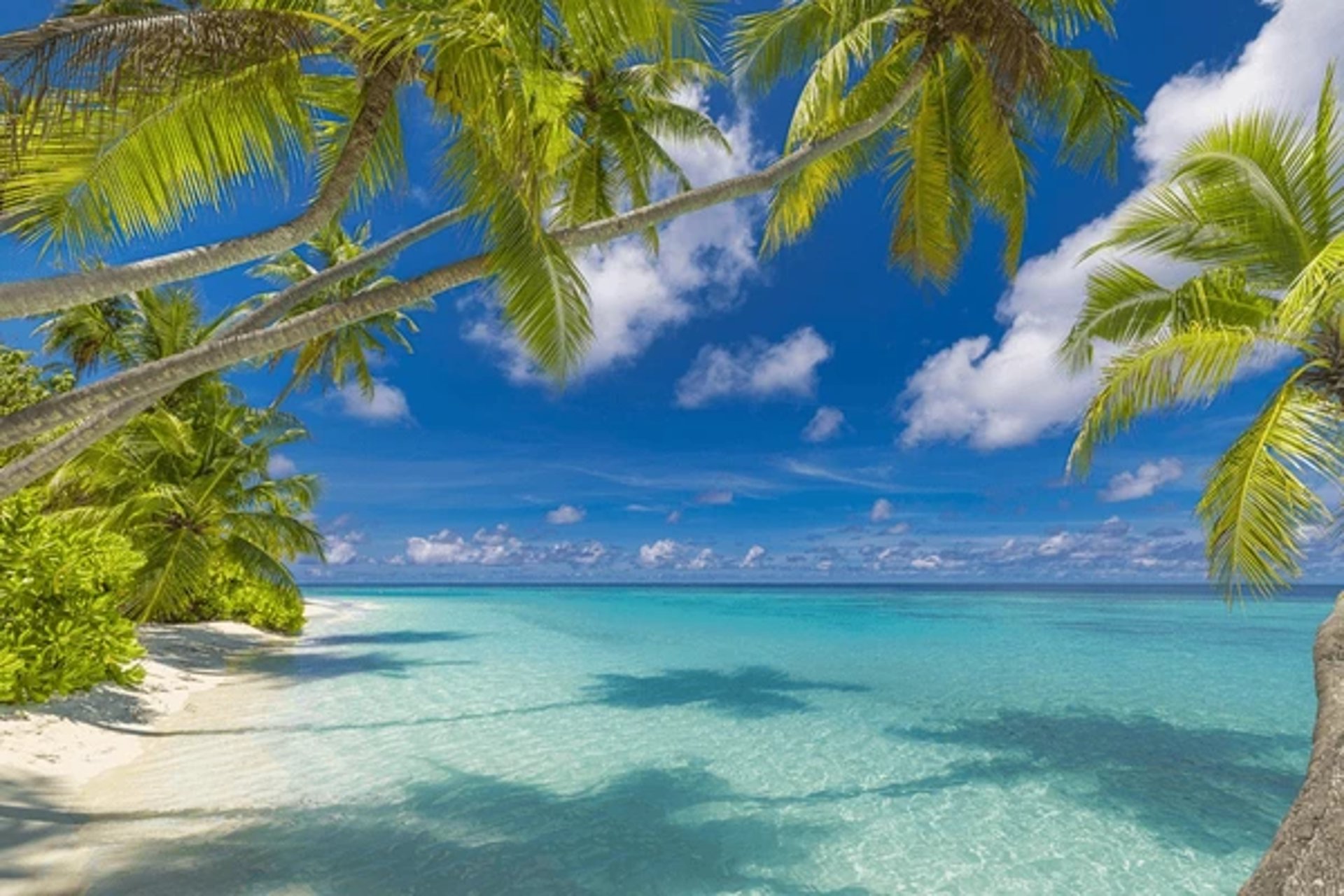 woman wearing yellow long-sleeved dress under white clouds and blue sky during daytime