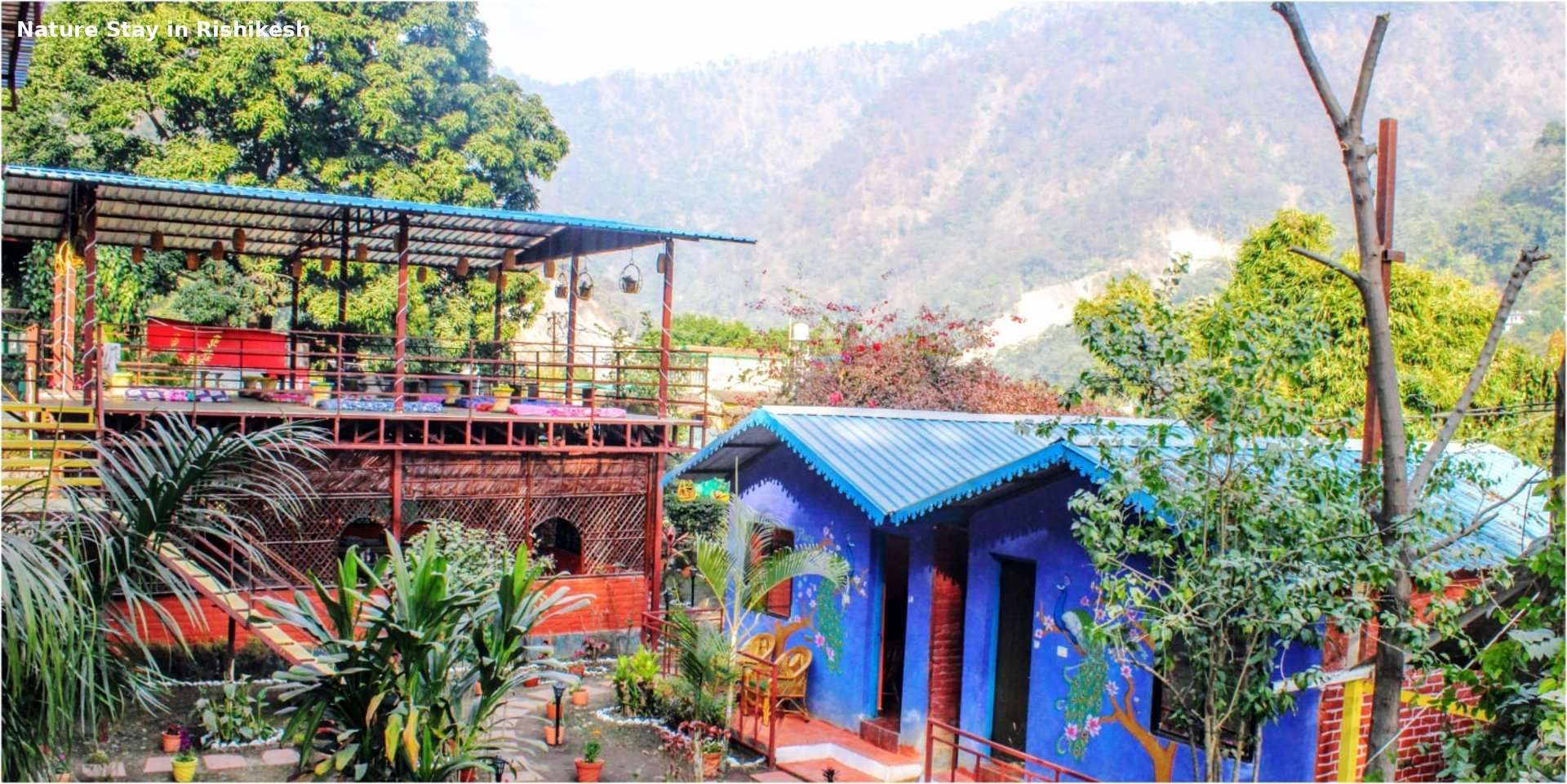 Jungle Lore Resort in Rishikesh with mountain view and greenery