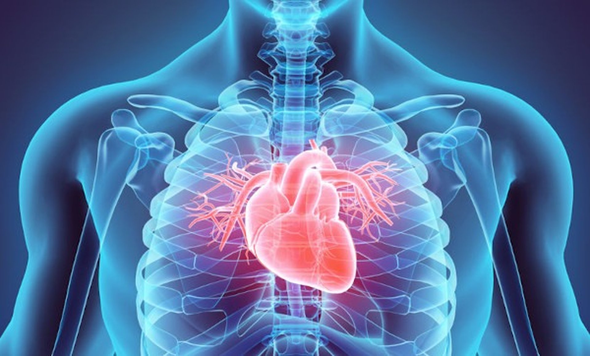 Fisioterapia Cardiovascular e Respiratória - Reabilitação Cardiopulmonar em Braga Portugal