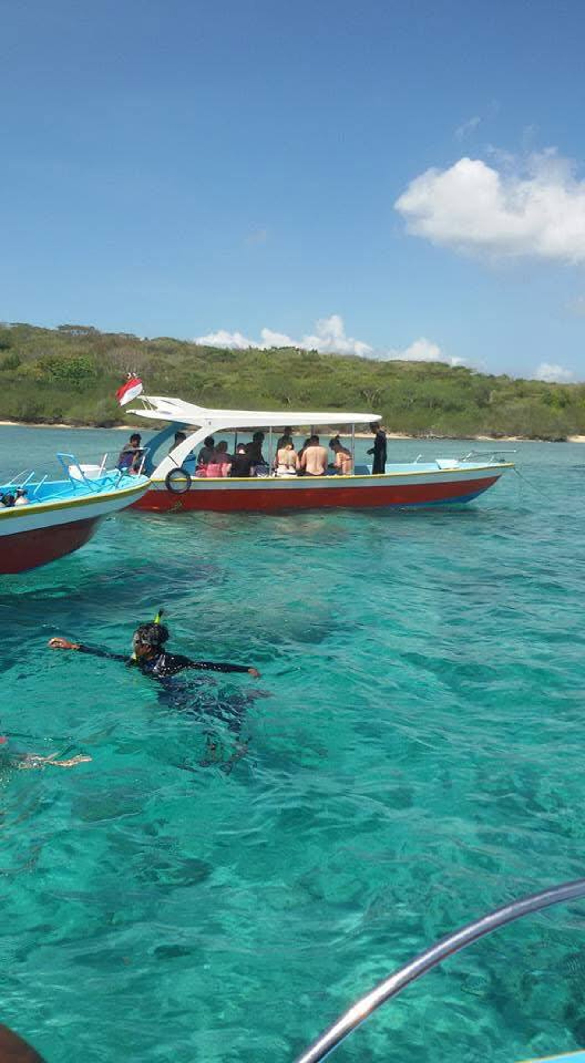 Family snorkeling at Lovina Reef in clear water with colorful fish around – Sunrise Dive Bali