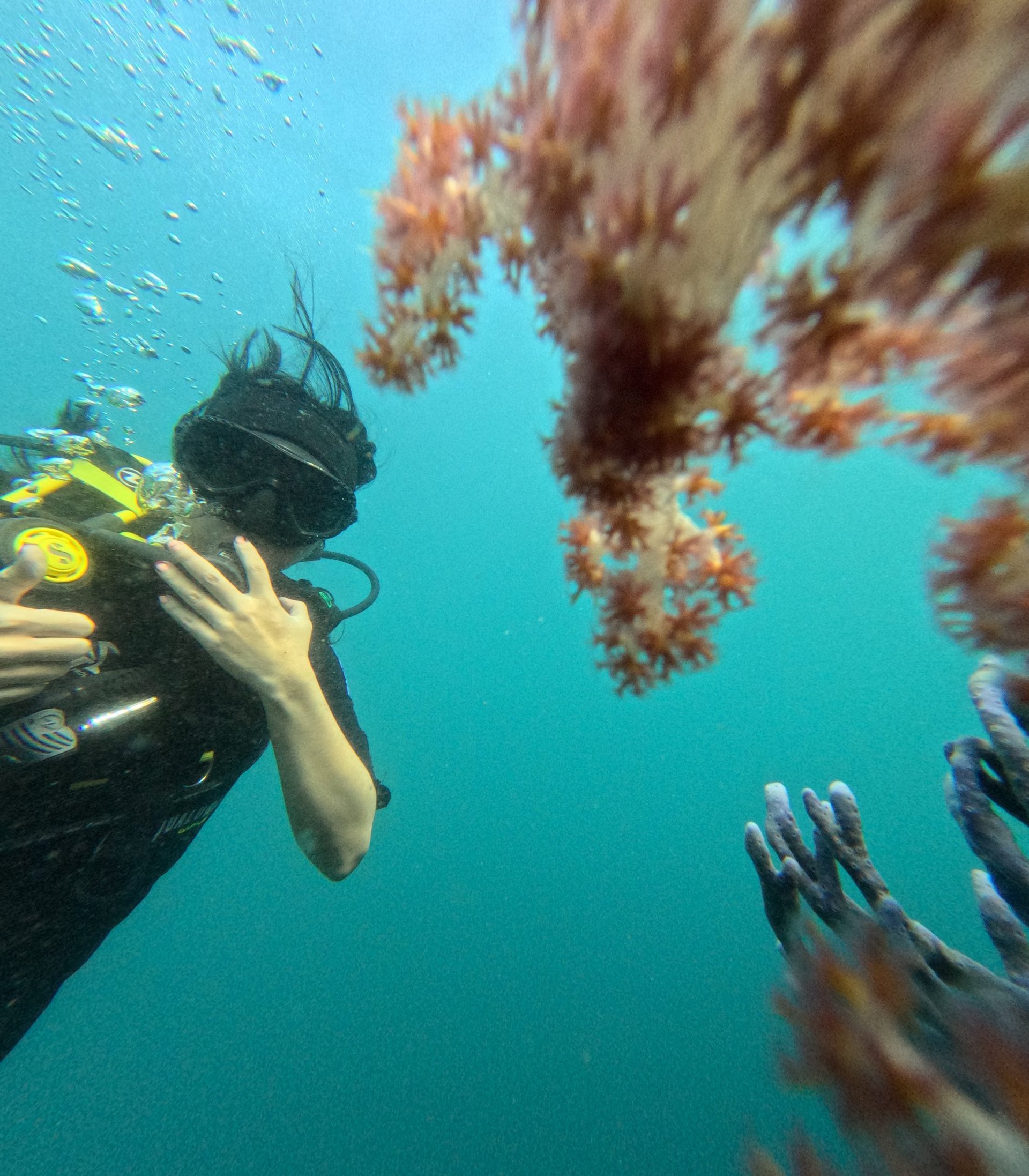 ocen view north bali sunrise dive bali tours