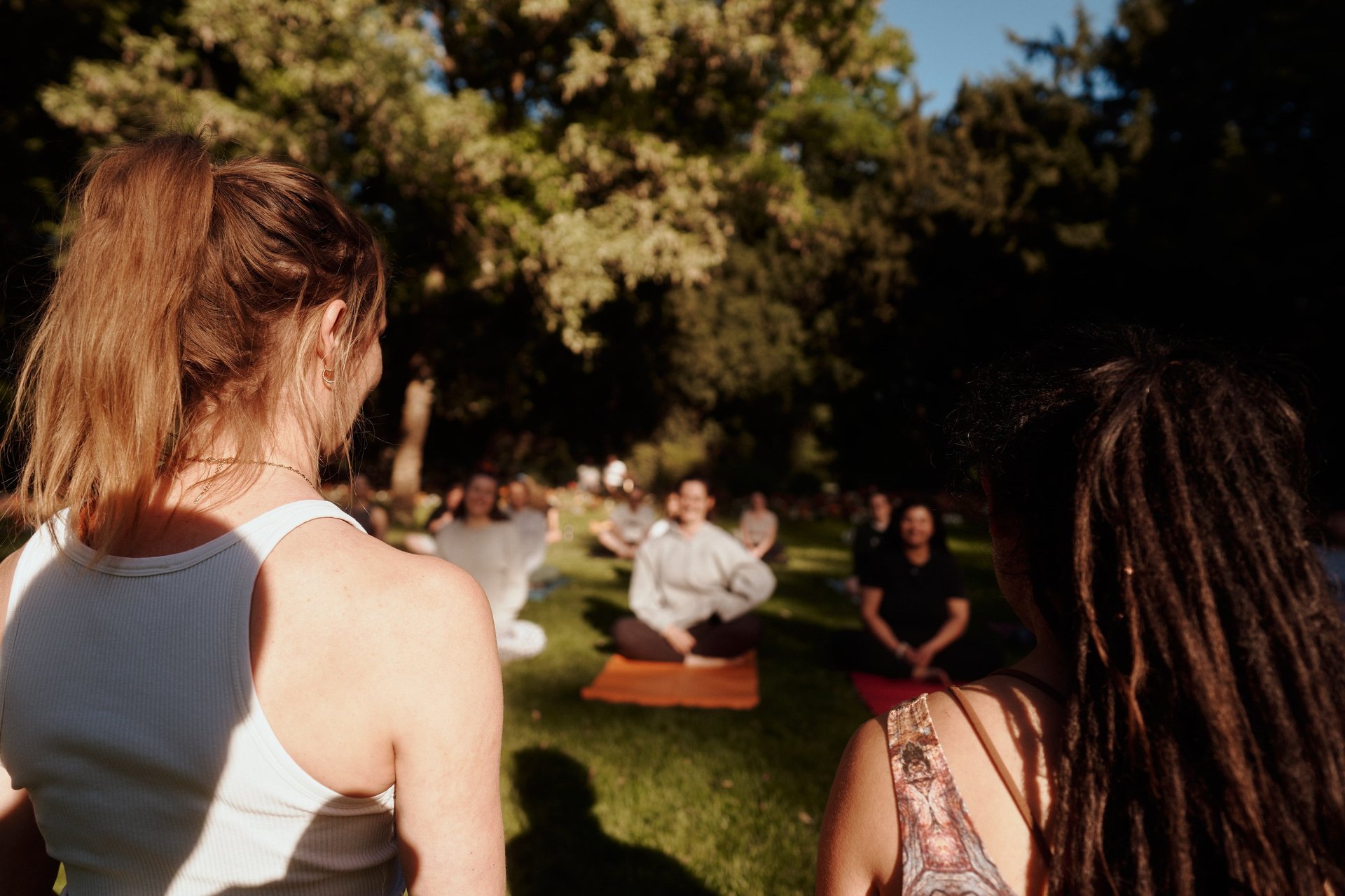 brown trees on snow covered ground during daytime