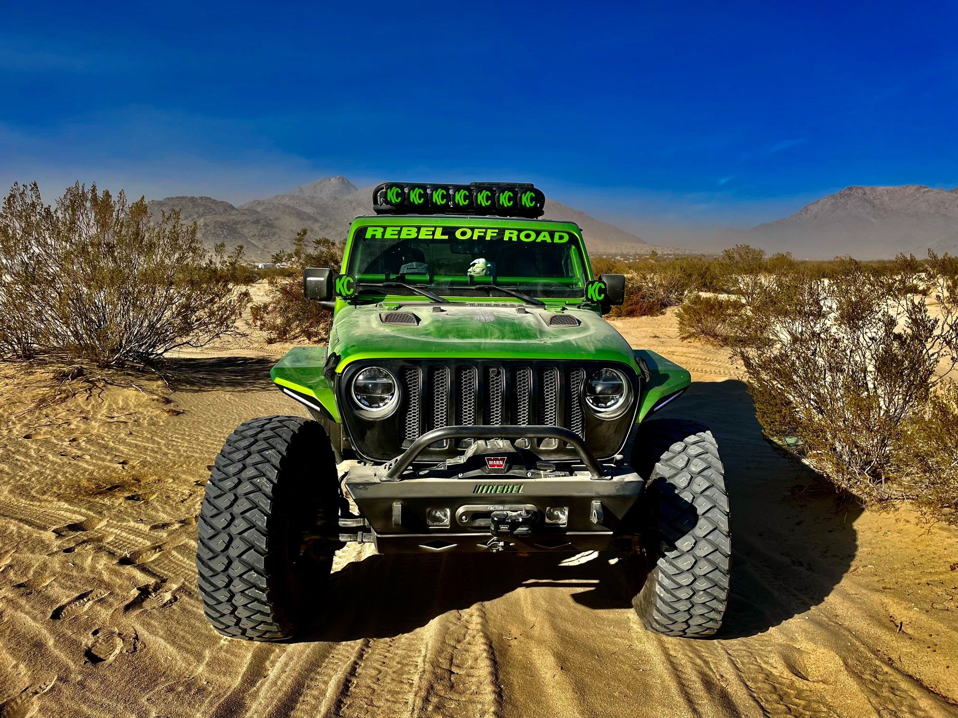 purple and green grass on gray sand