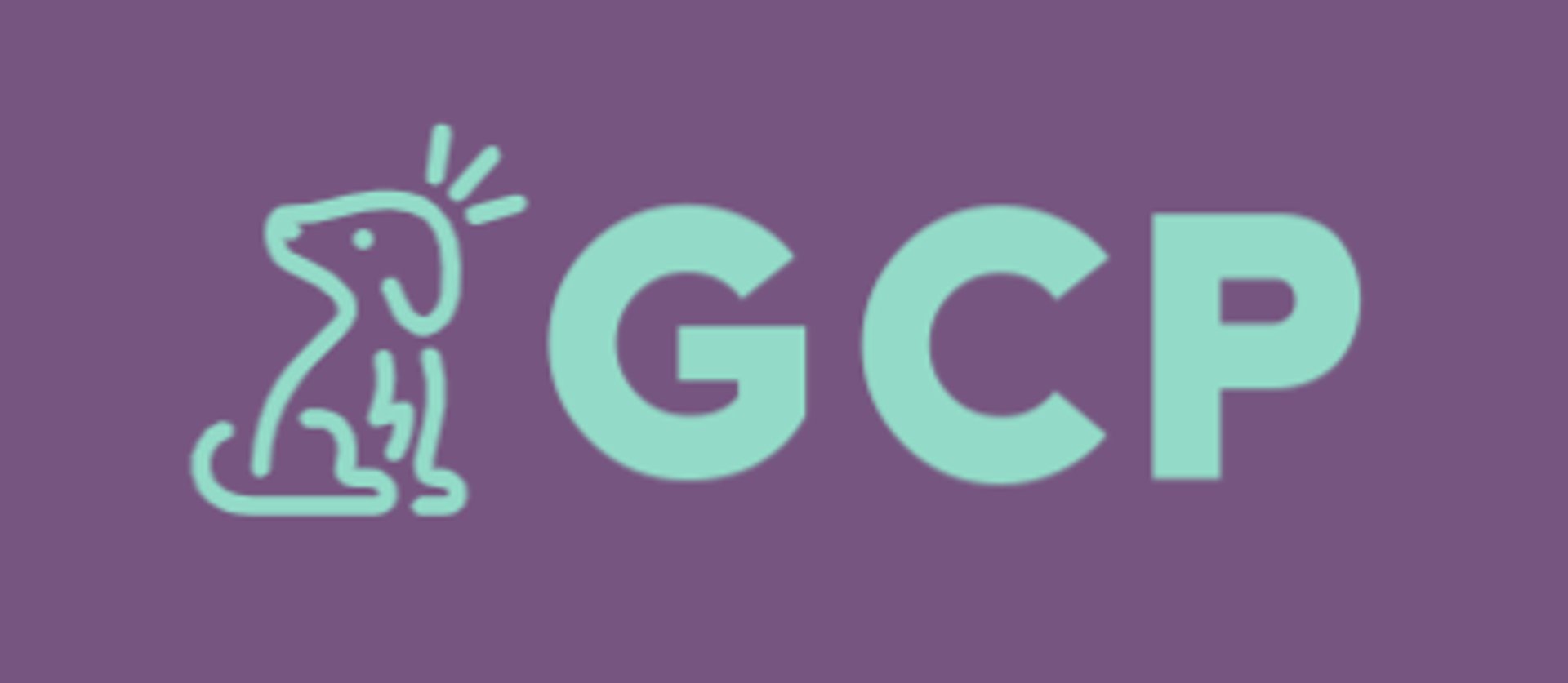 a bunch of bags that are on a wall