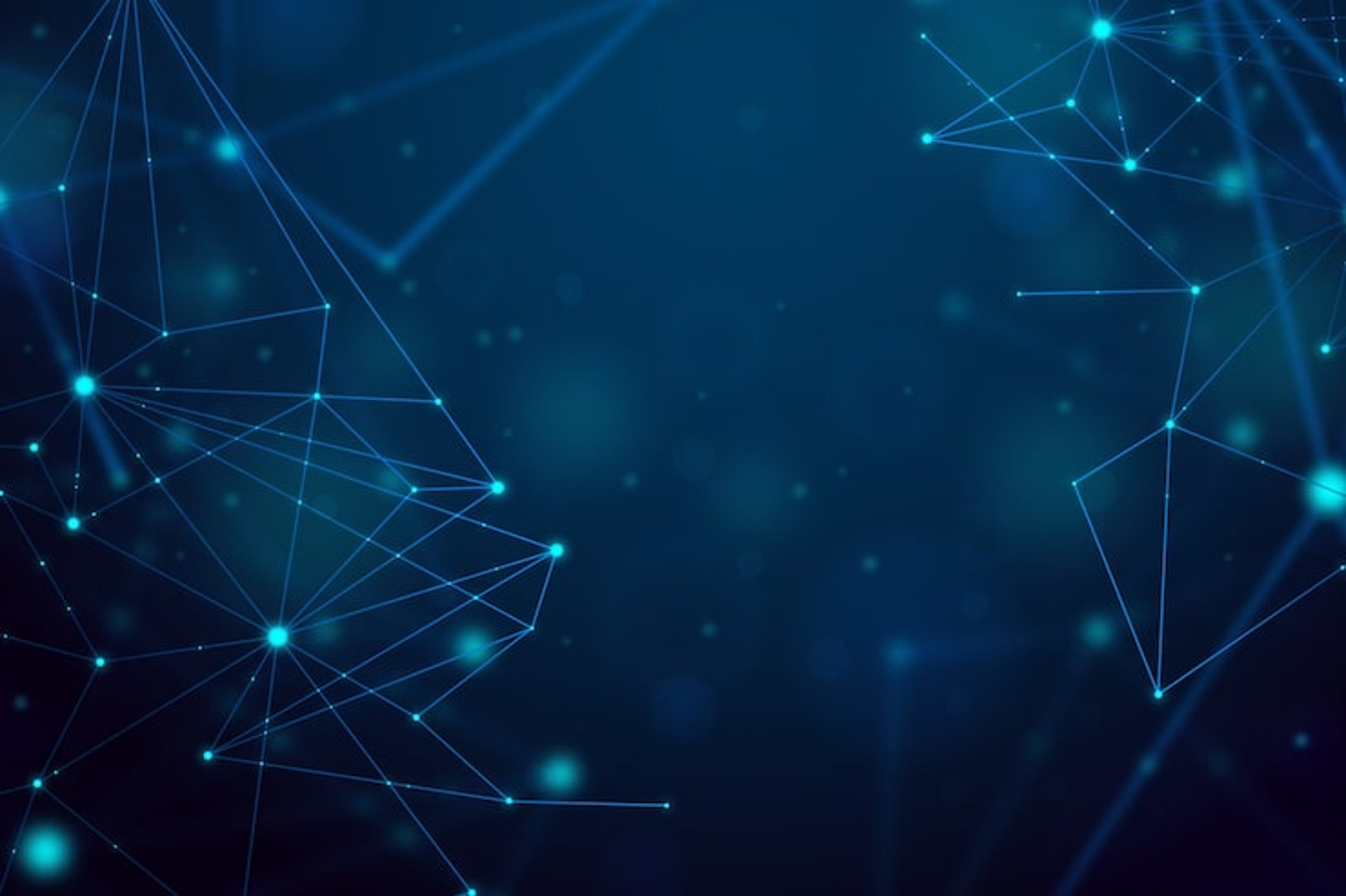 yellow sunflower field during daytime