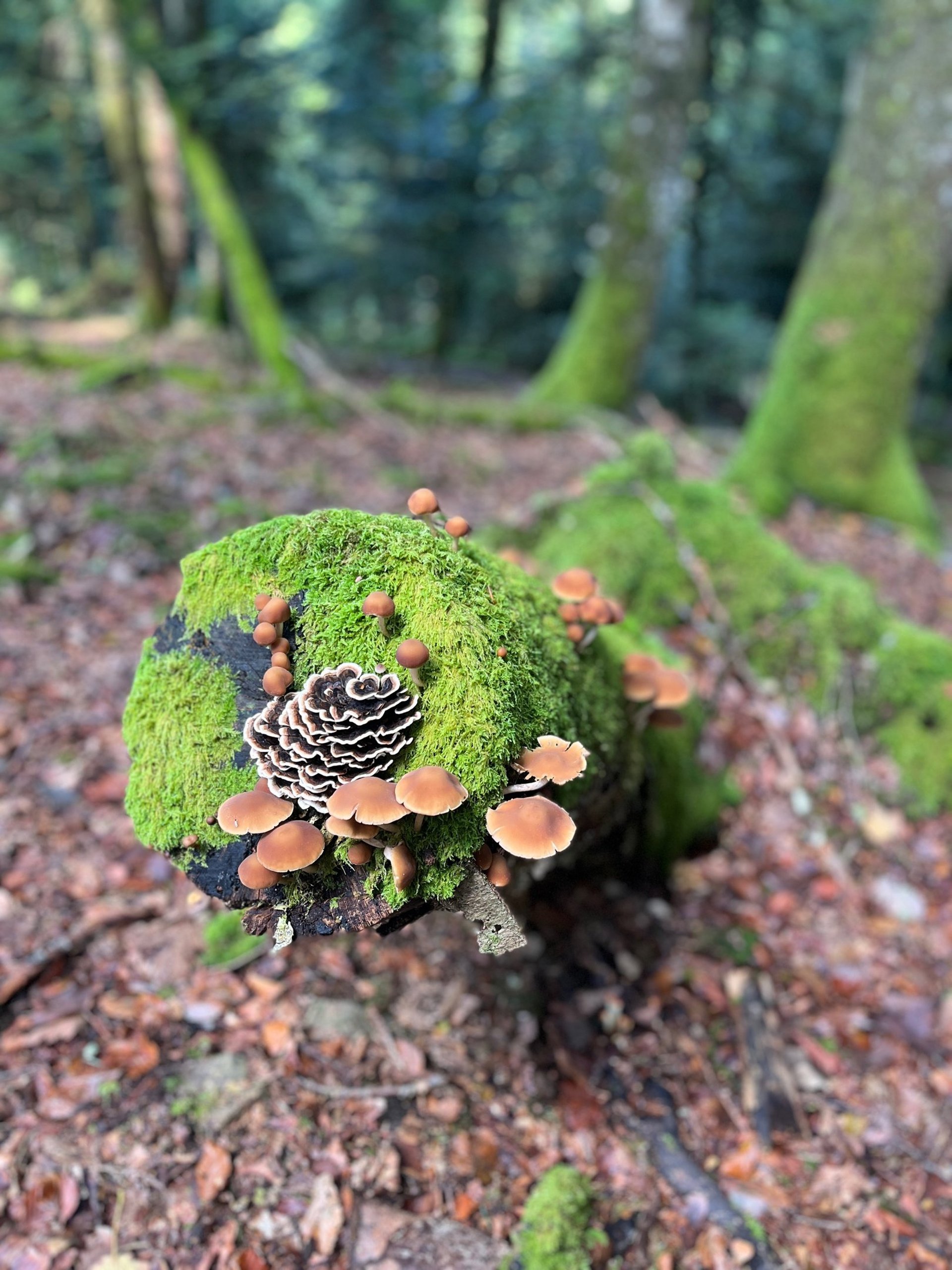 person wearing grey knit sweater
