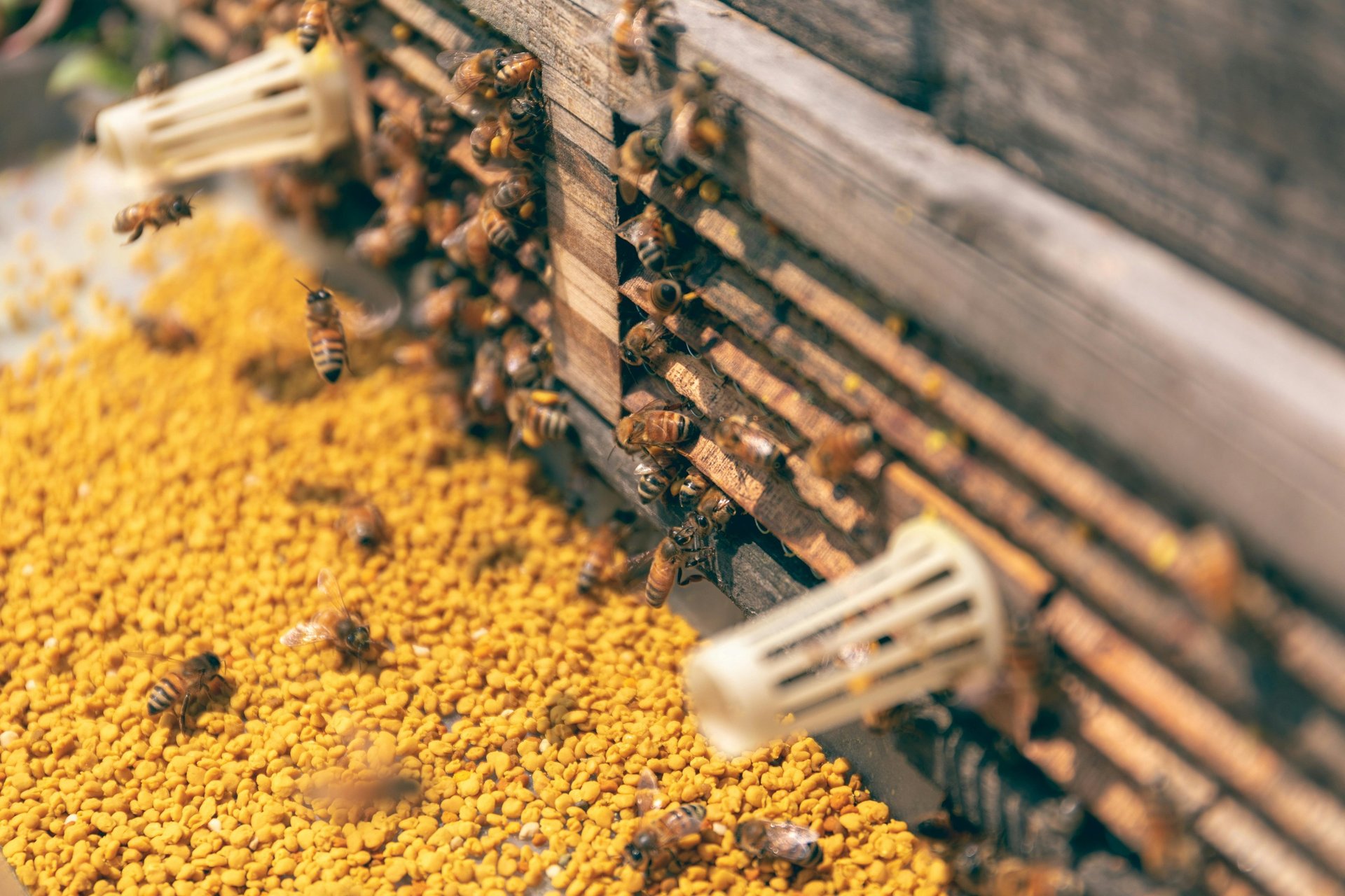 a close up of a black and brown abstract painting