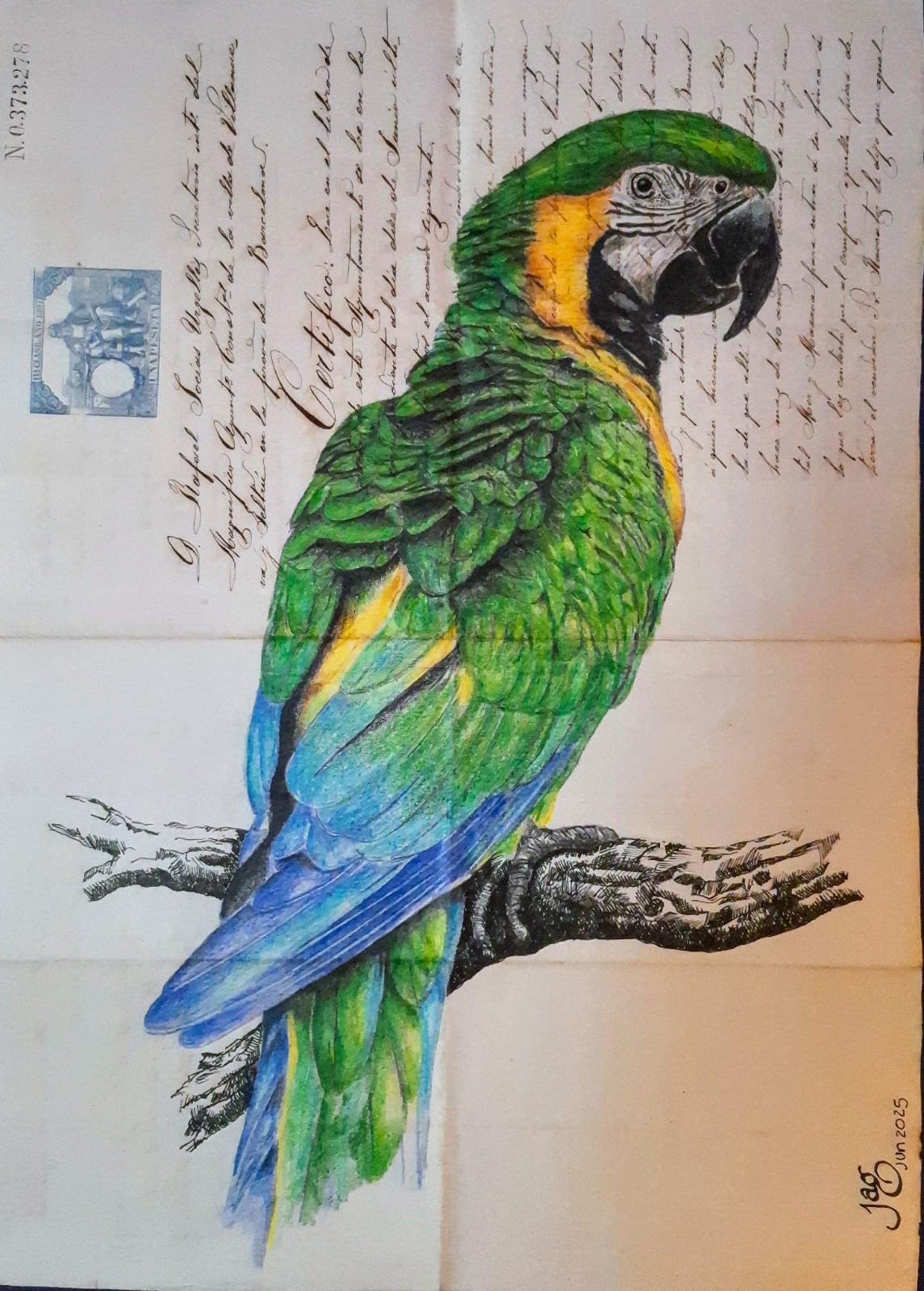 woman holding dried flower