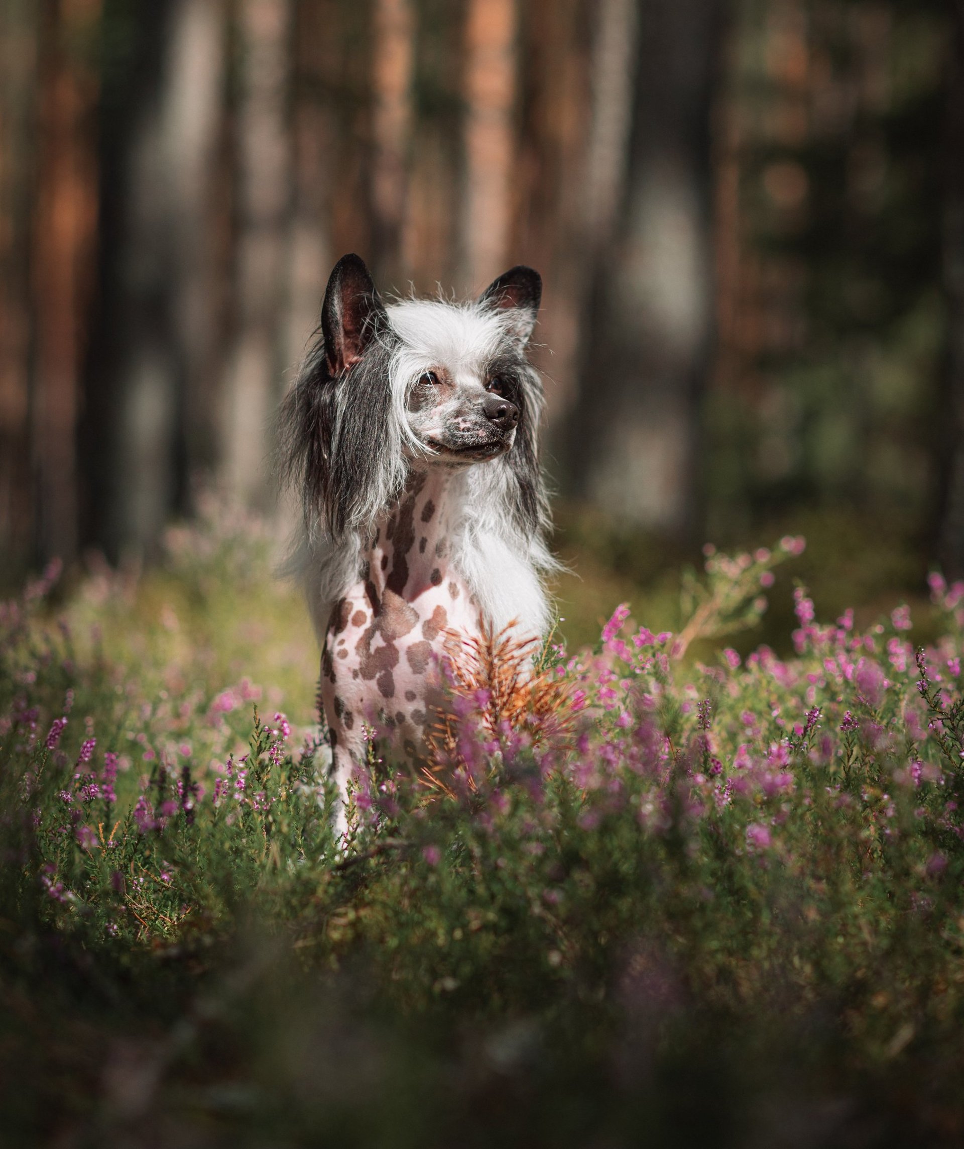 black and white bed linen