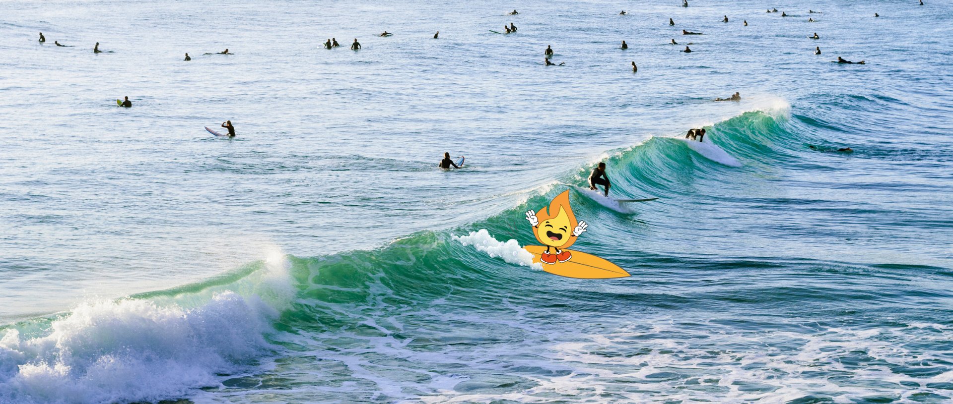 Forest during daytime