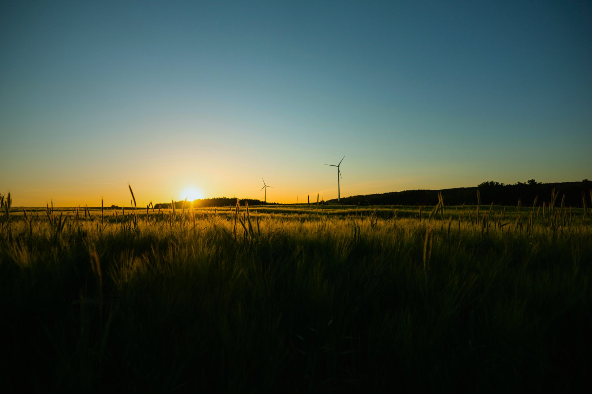 black and brown leather padded tub sofa