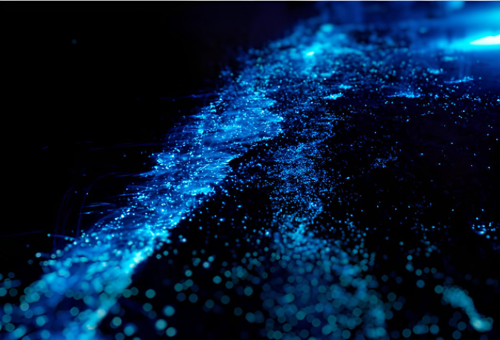 a beach that has some blue lights on it