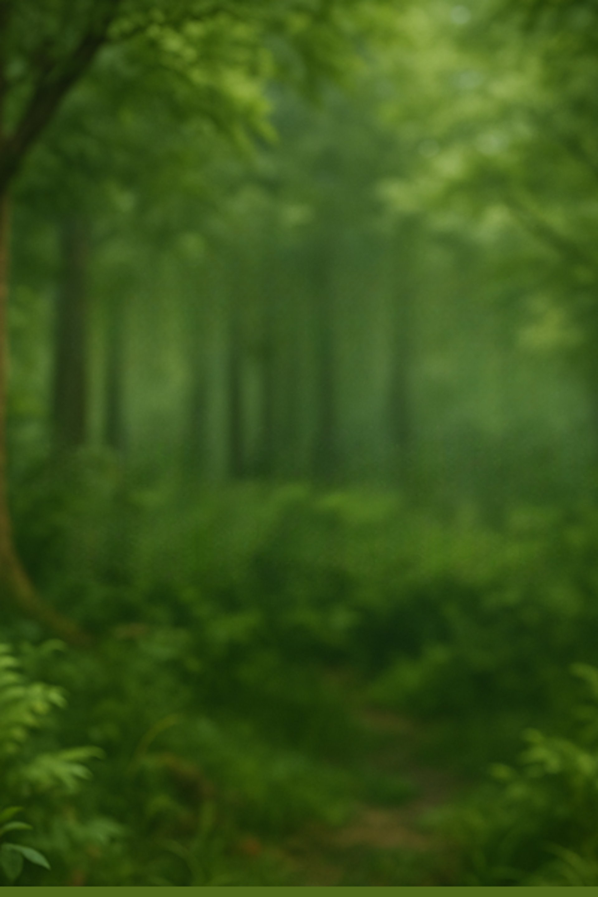 brown wooden house on lake