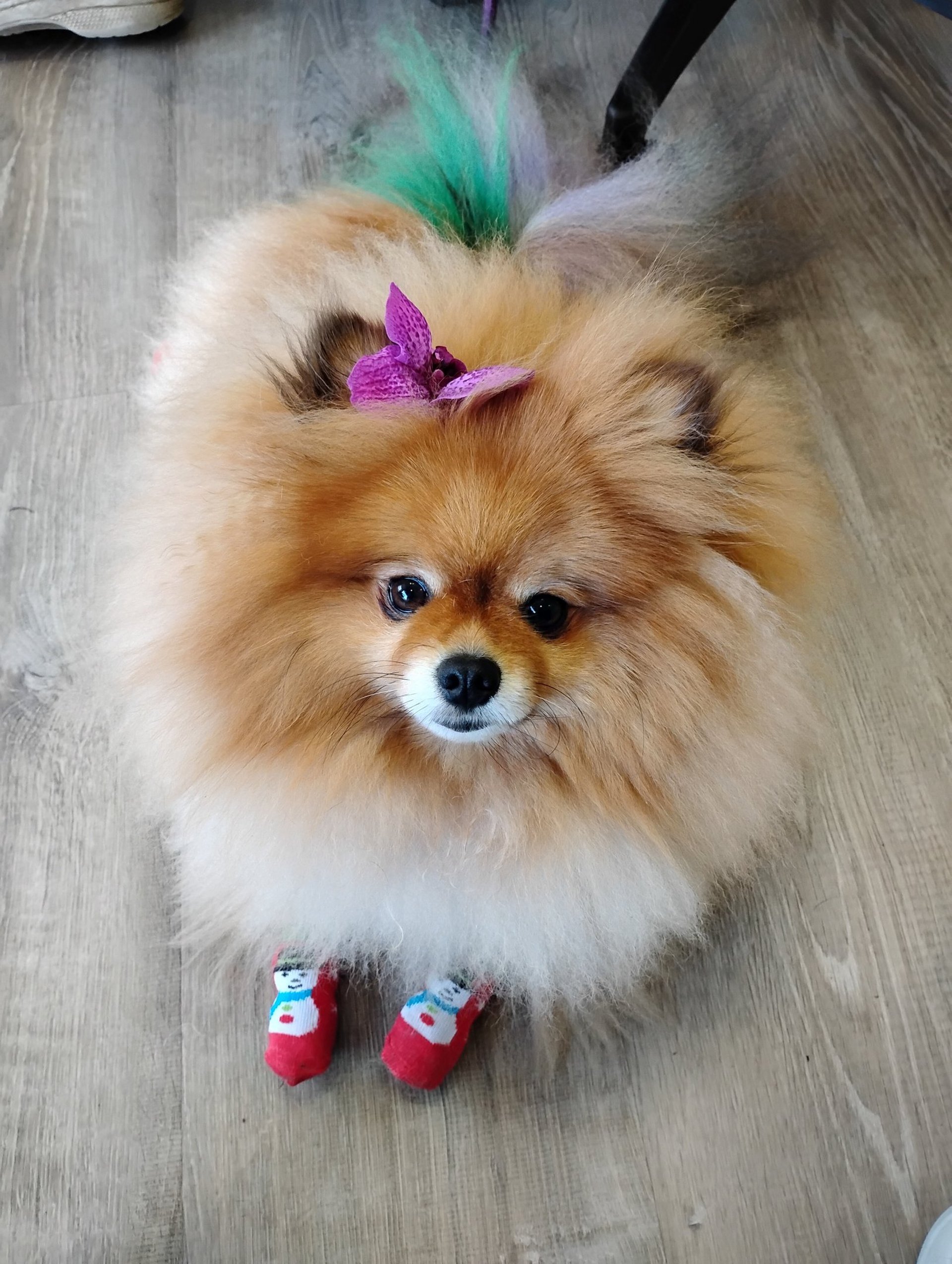 black blue and yellow textile