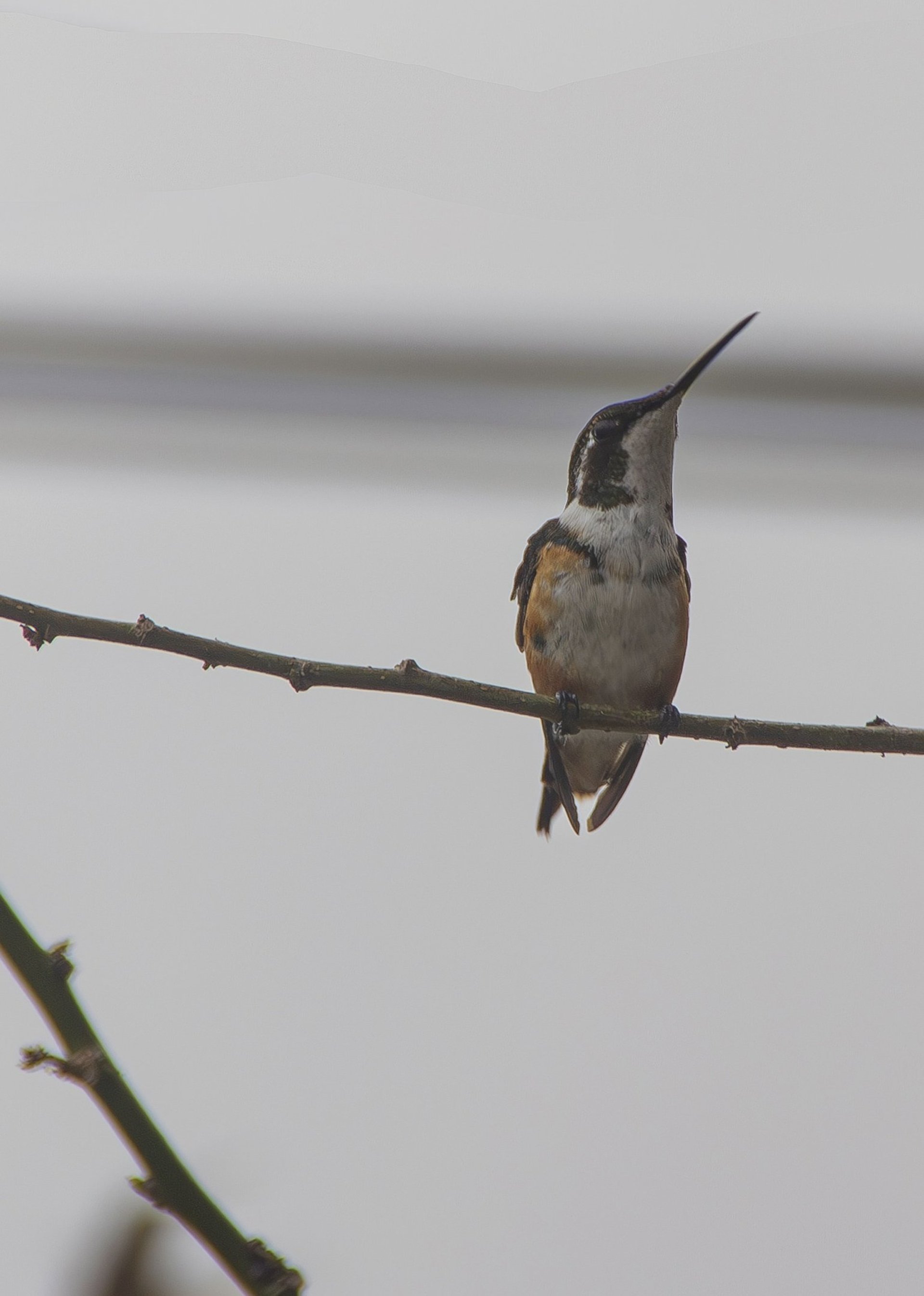 an abstract photo of a curved building with a blue sky in the background