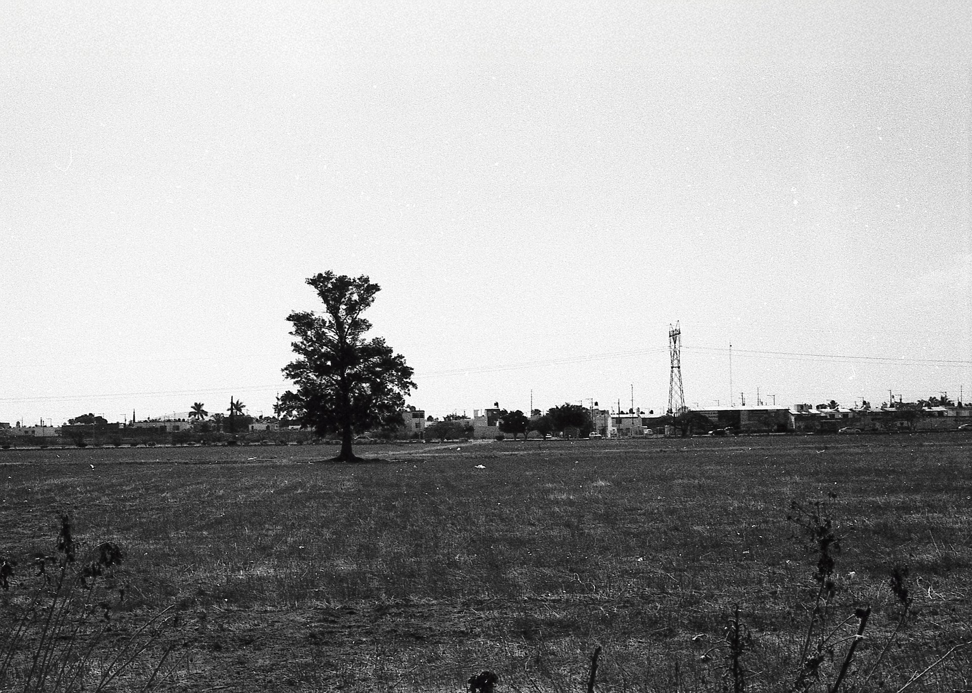 an abstract photo of a curved building with a blue sky in the background