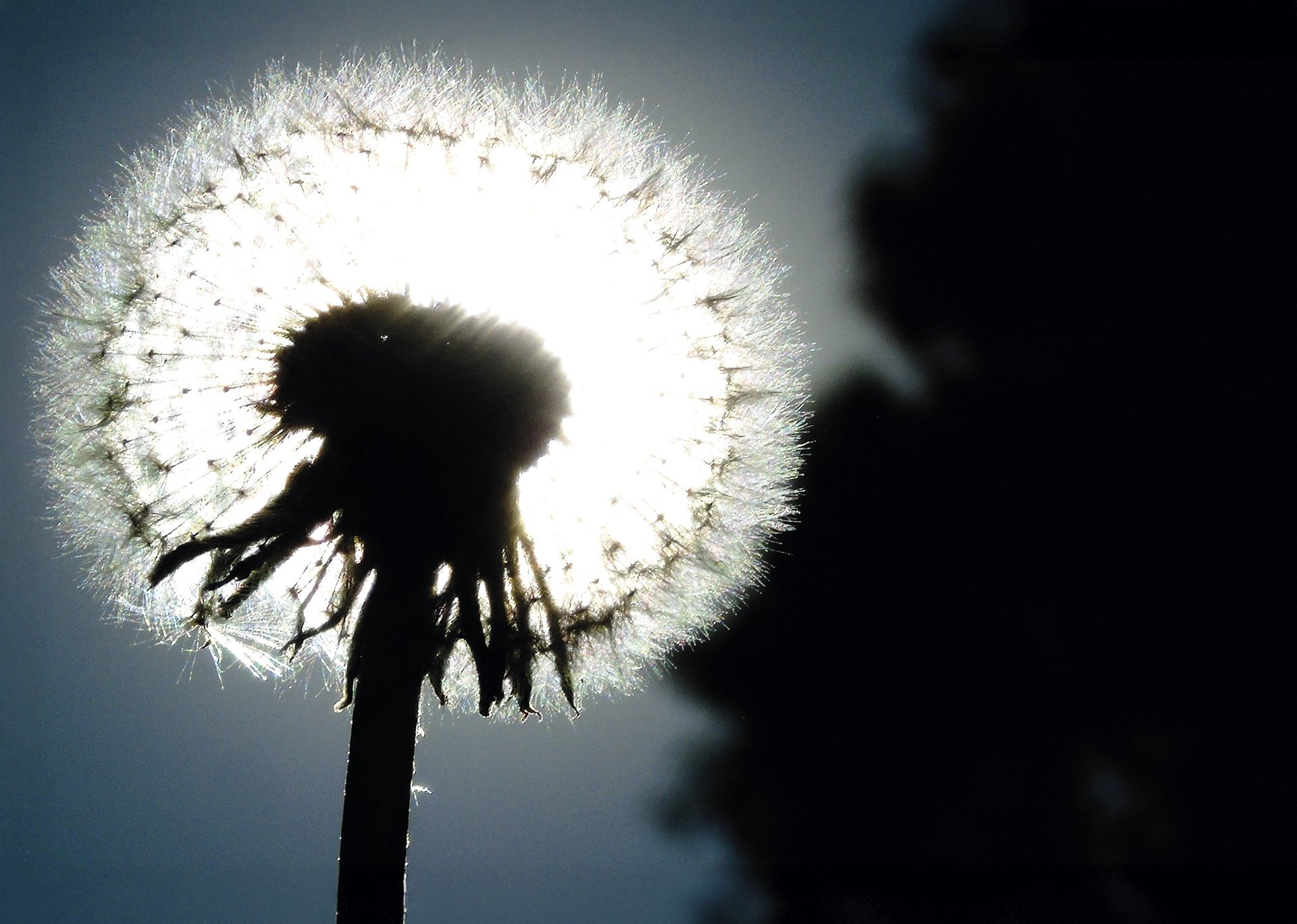 an abstract photo of a curved building with a blue sky in the background