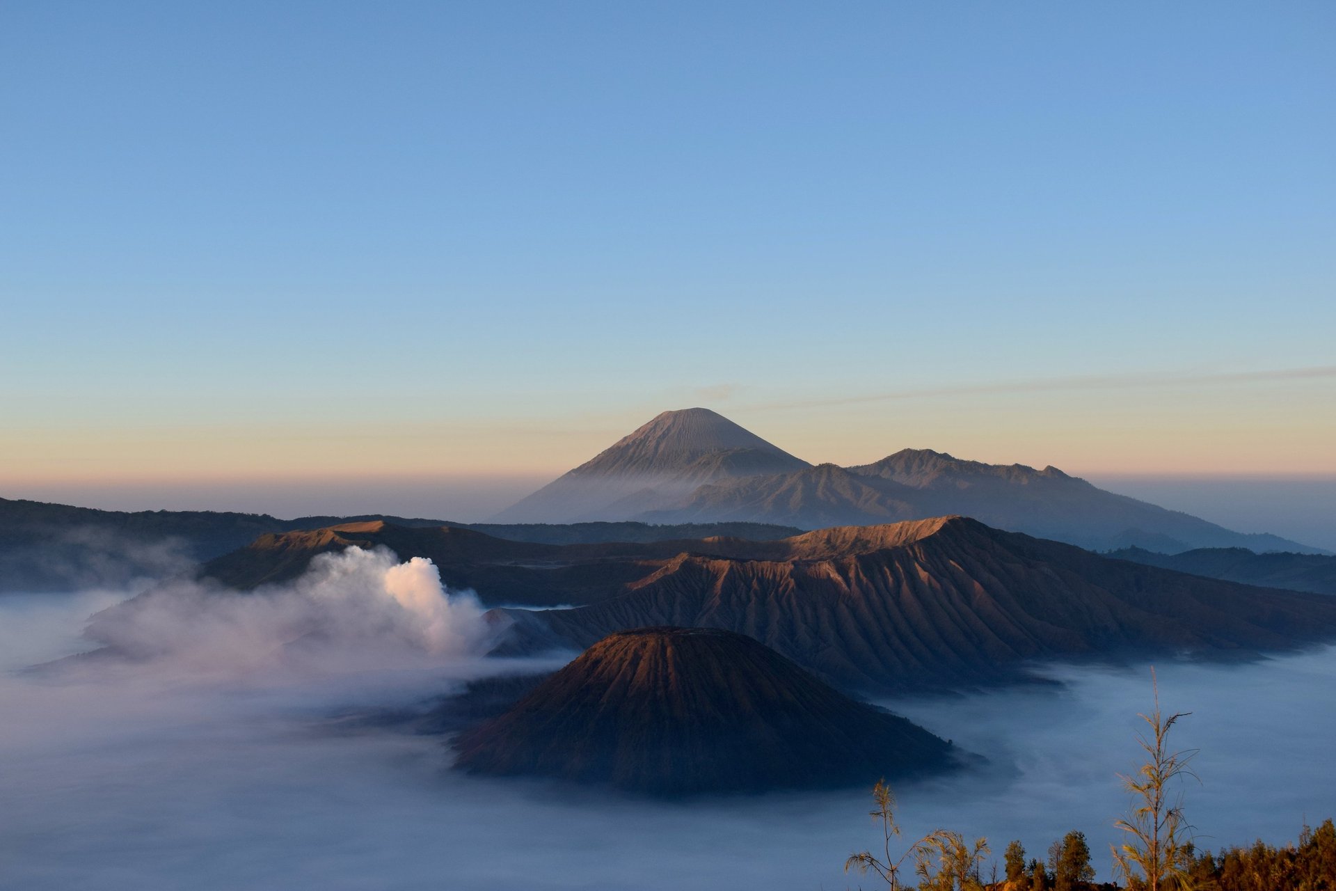 black and brown leather padded tub sofa
