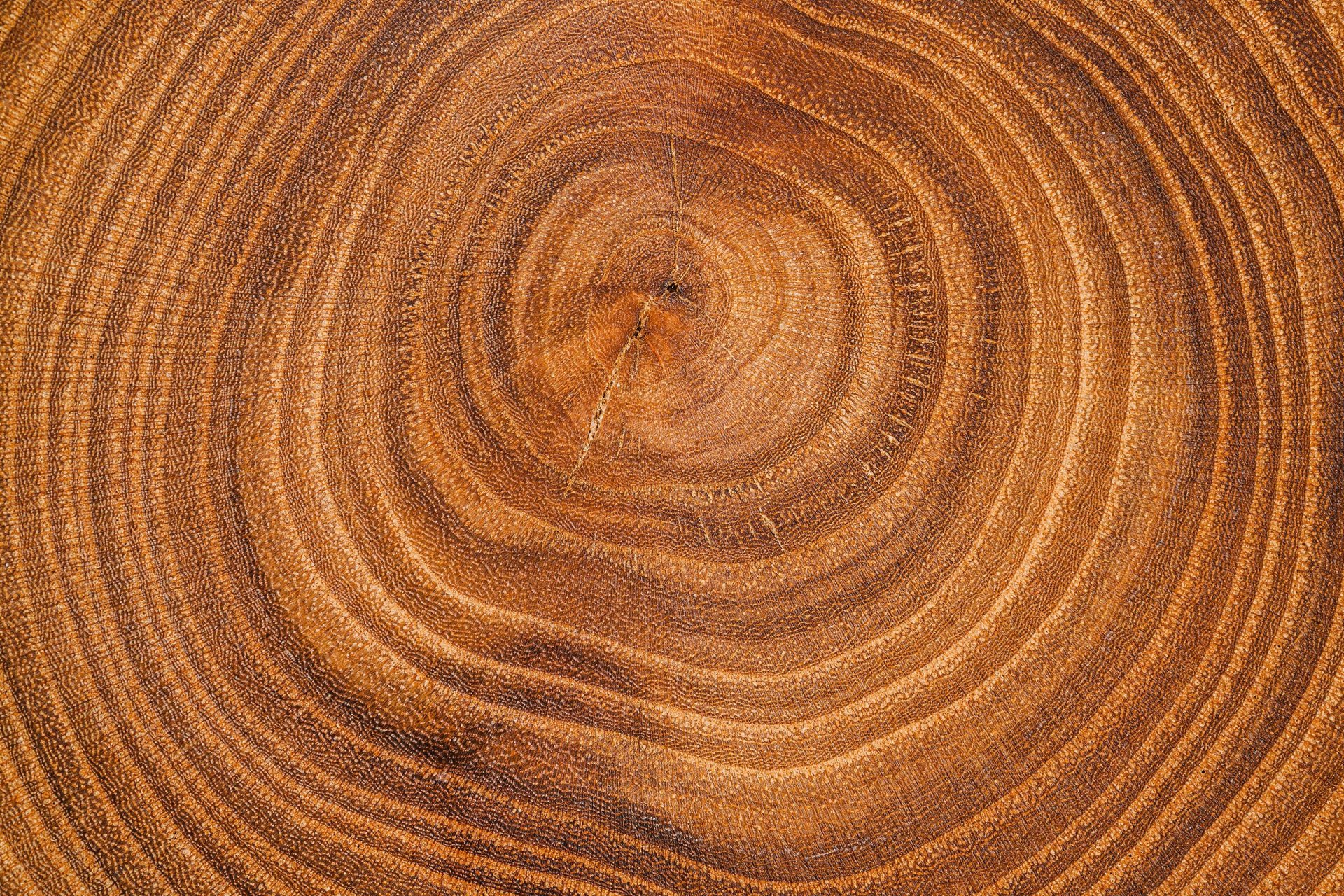 A beautifully set dining table with floral arrangements.