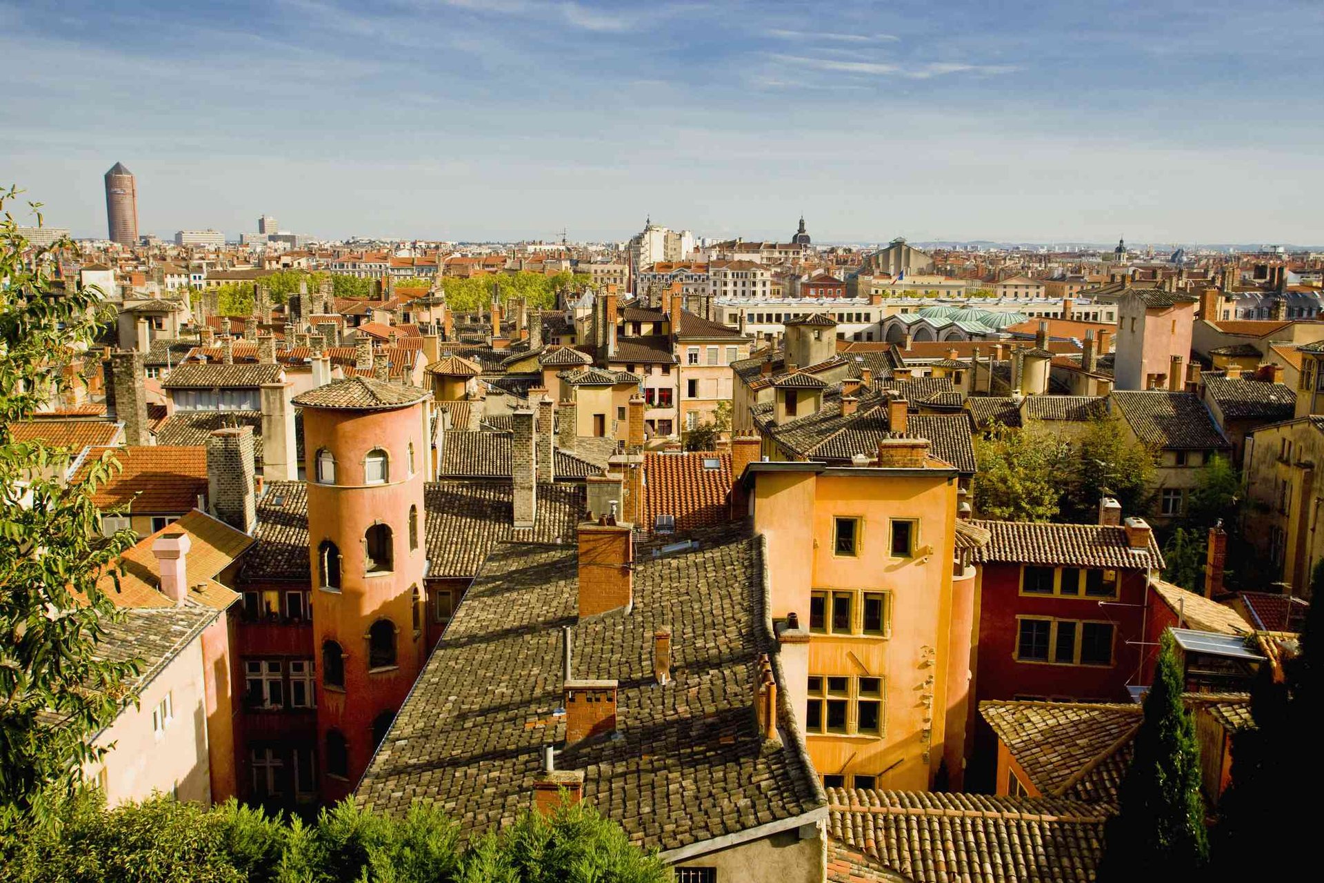 aerial view of city buildings near sea during daytime