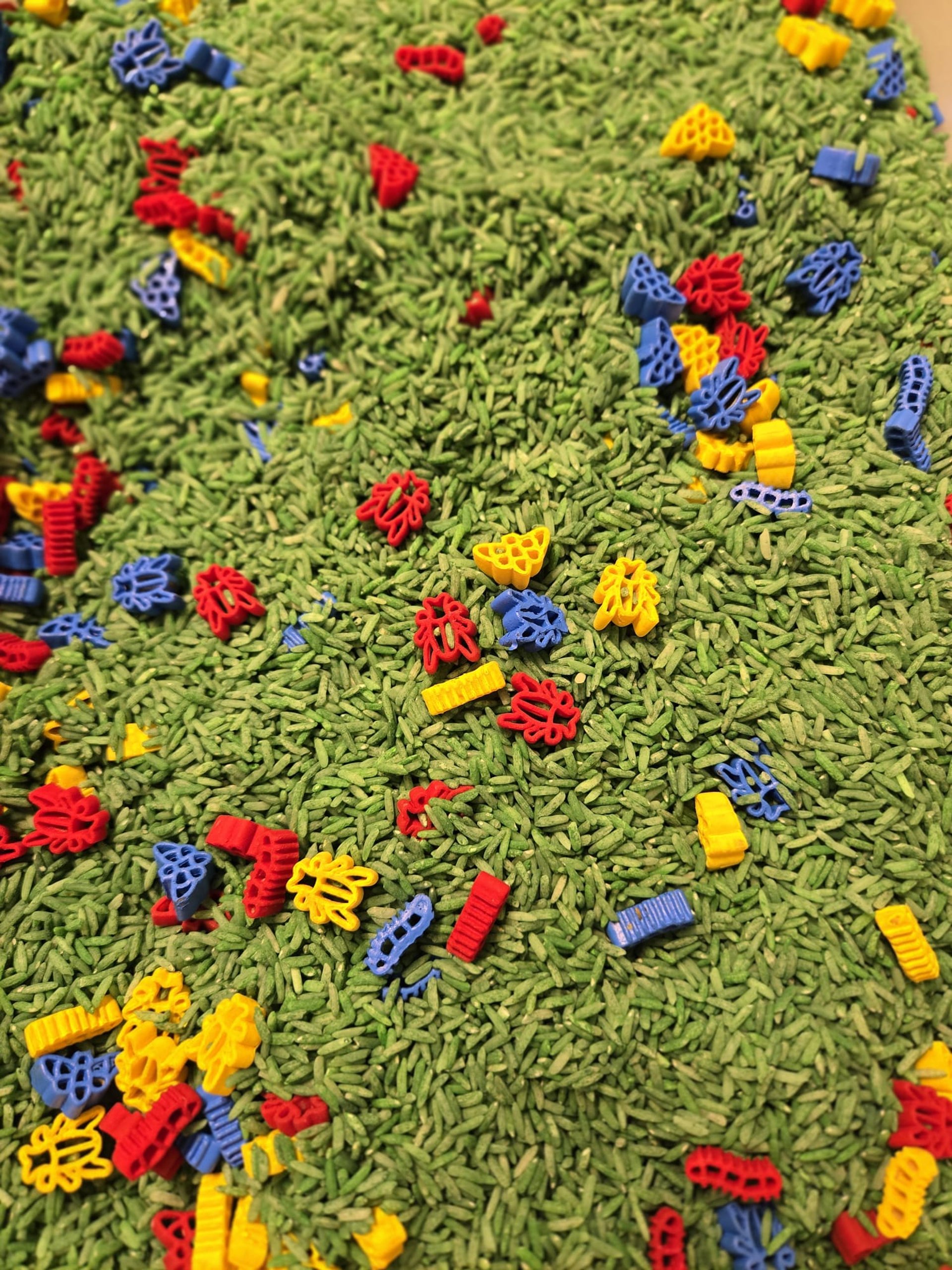 woman holding dried flower