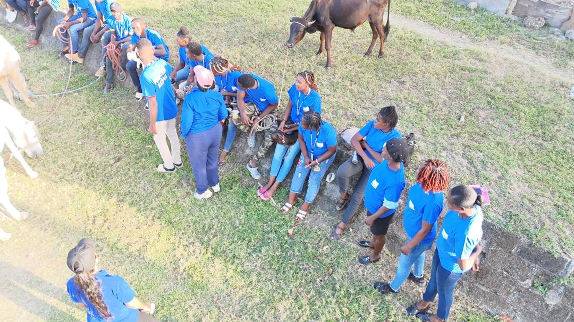 woman wearing yellow long-sleeved dress under white clouds and blue sky during daytime