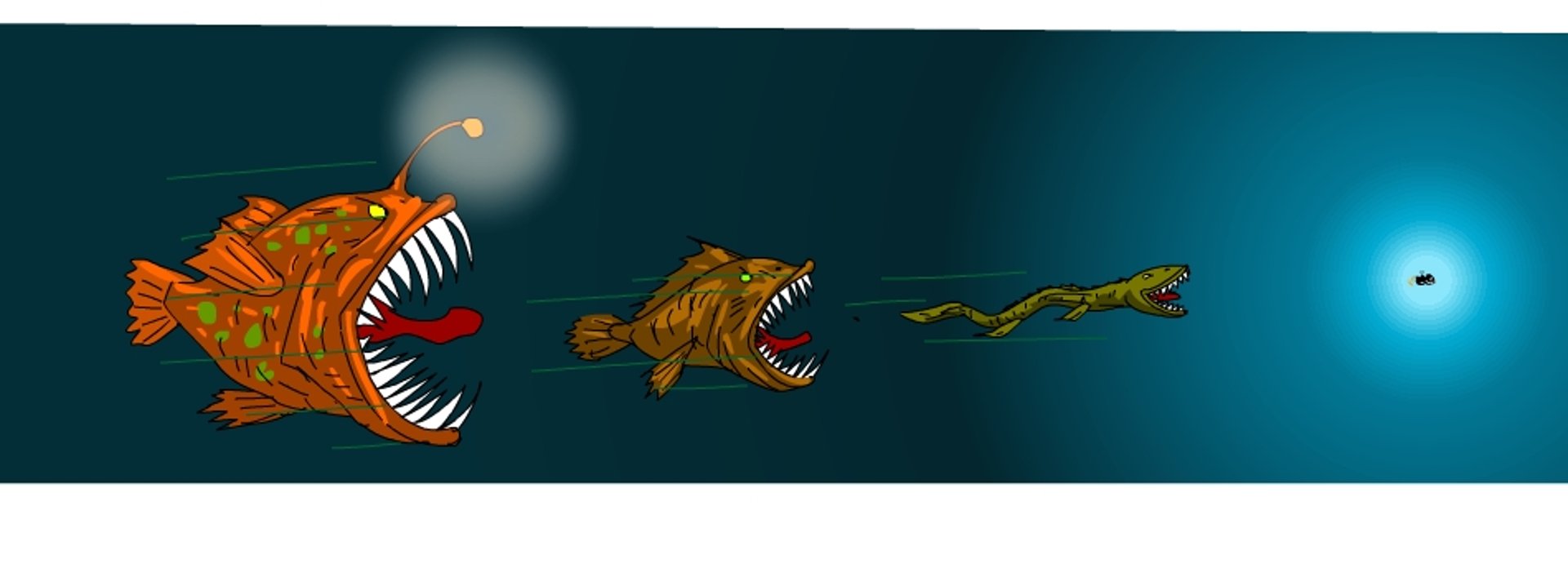 black and white bed linen