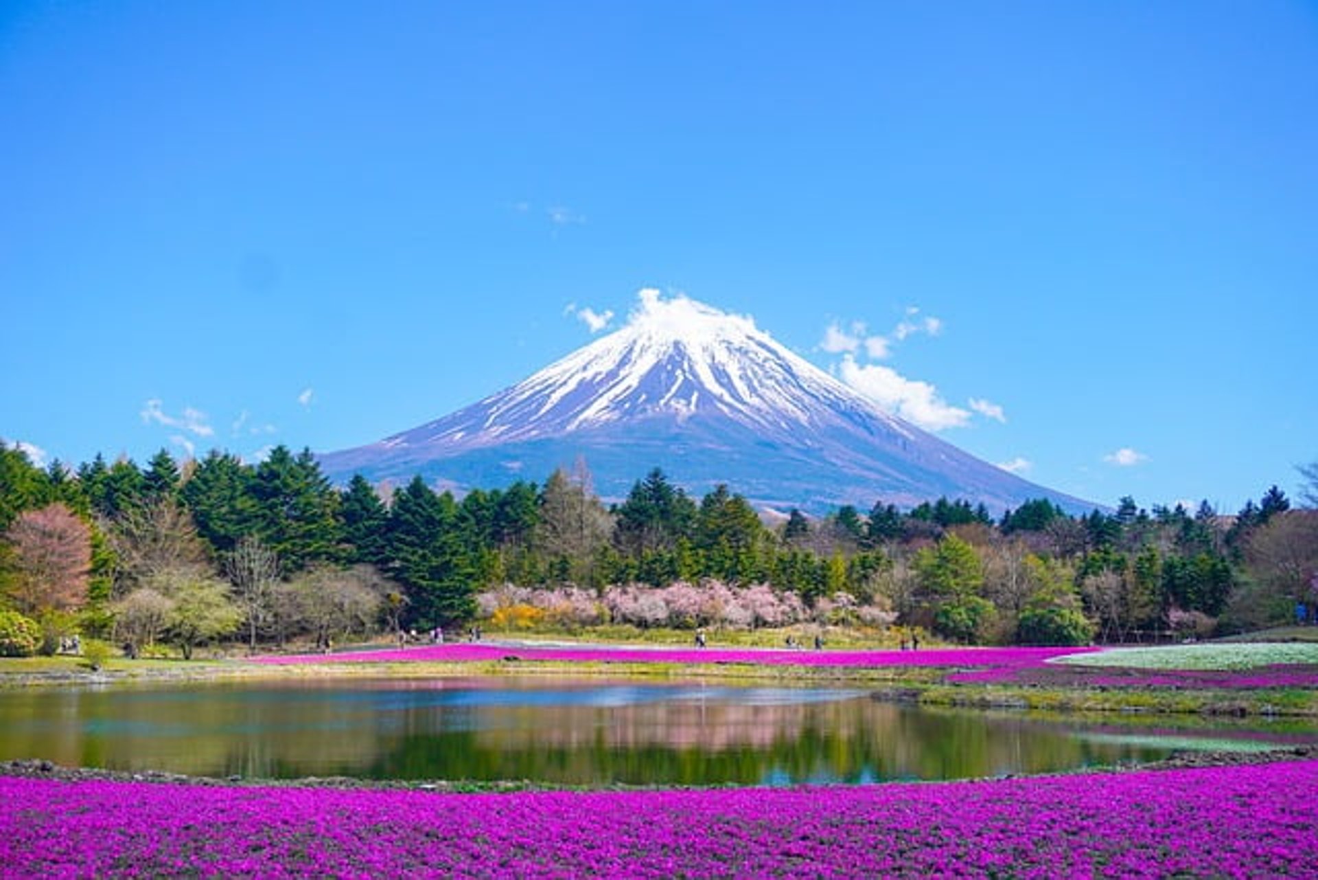 mont fuji lac 