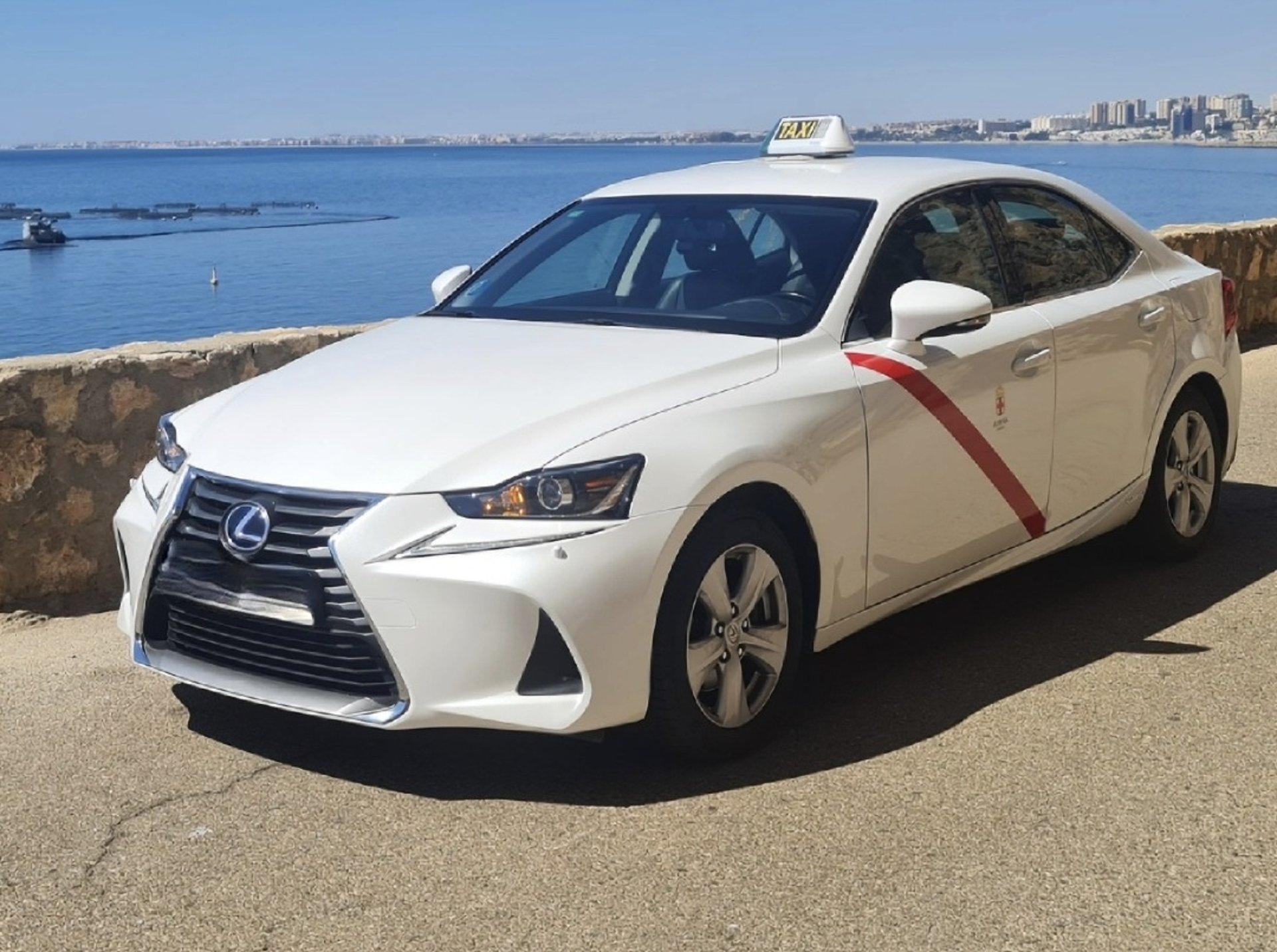 black and brown leather padded tub sofa