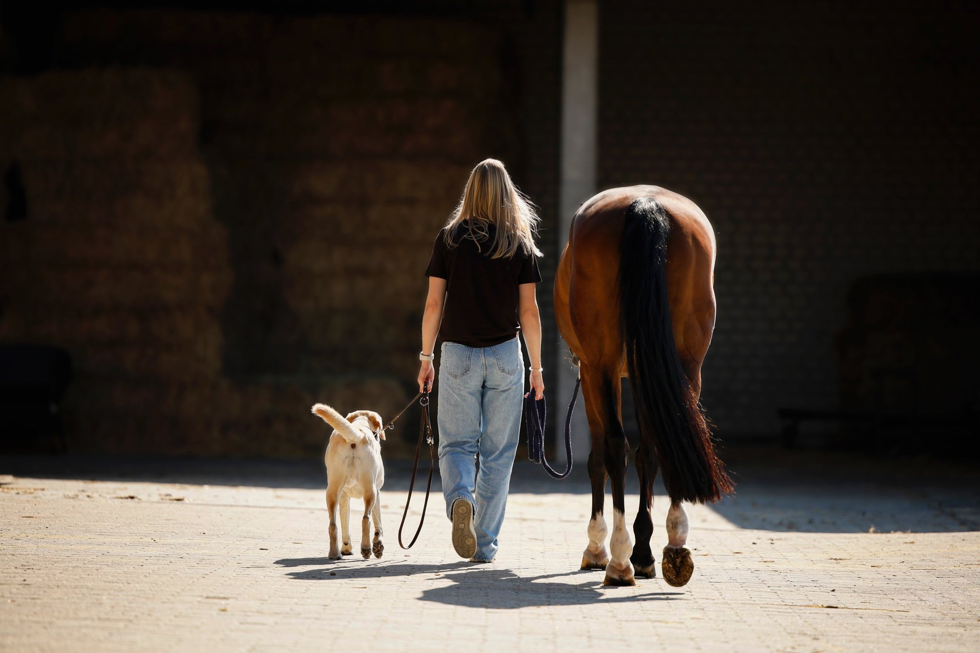 mountain range under blue sky