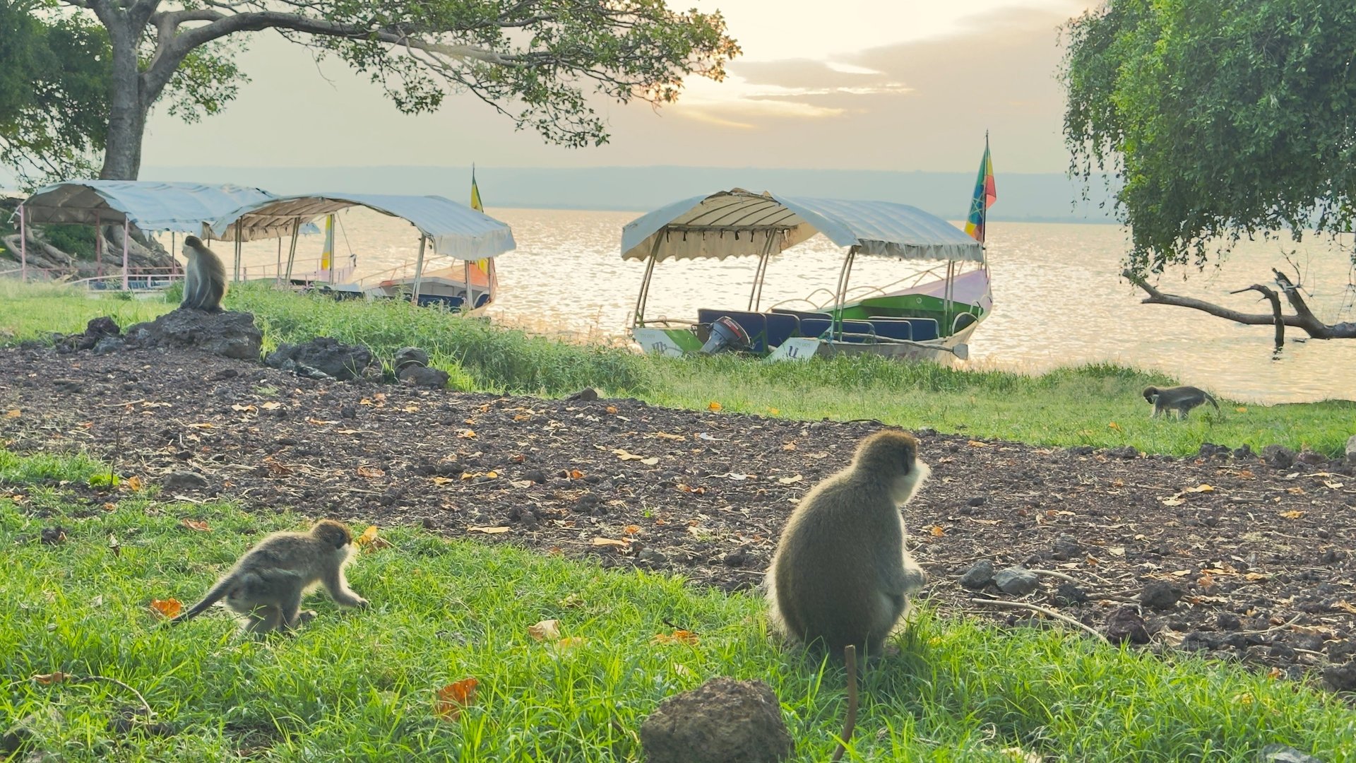a group of people in a large city