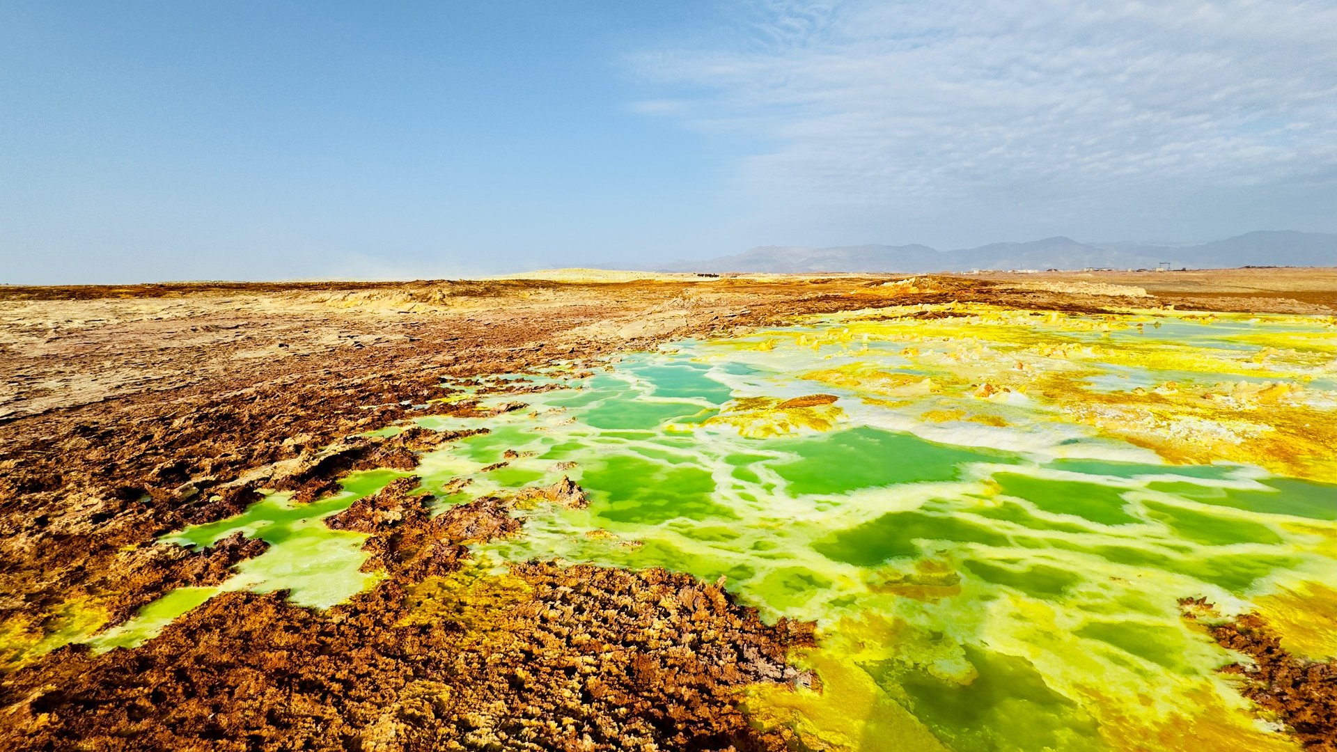 a group of people in a large city