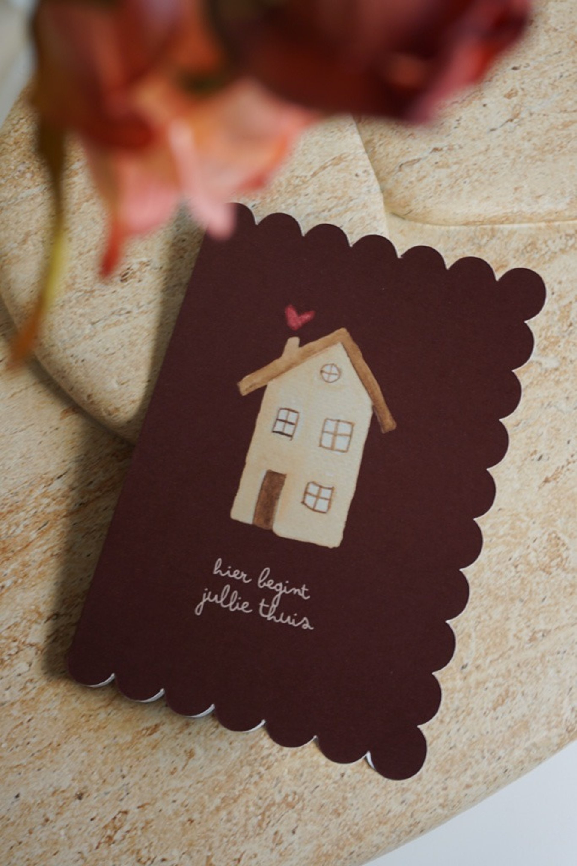 banner anna-mae studio - handgeschilderde illustraties en posters