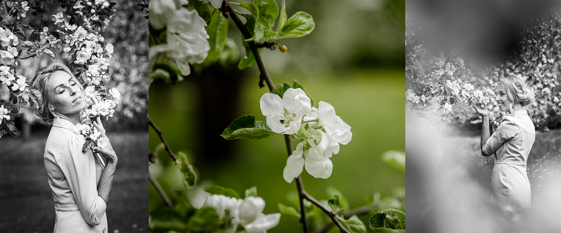 green mountain under white sky during daytime