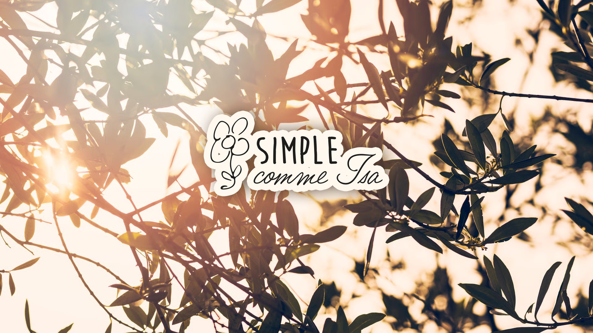 red and green flower petals on brown paper bag