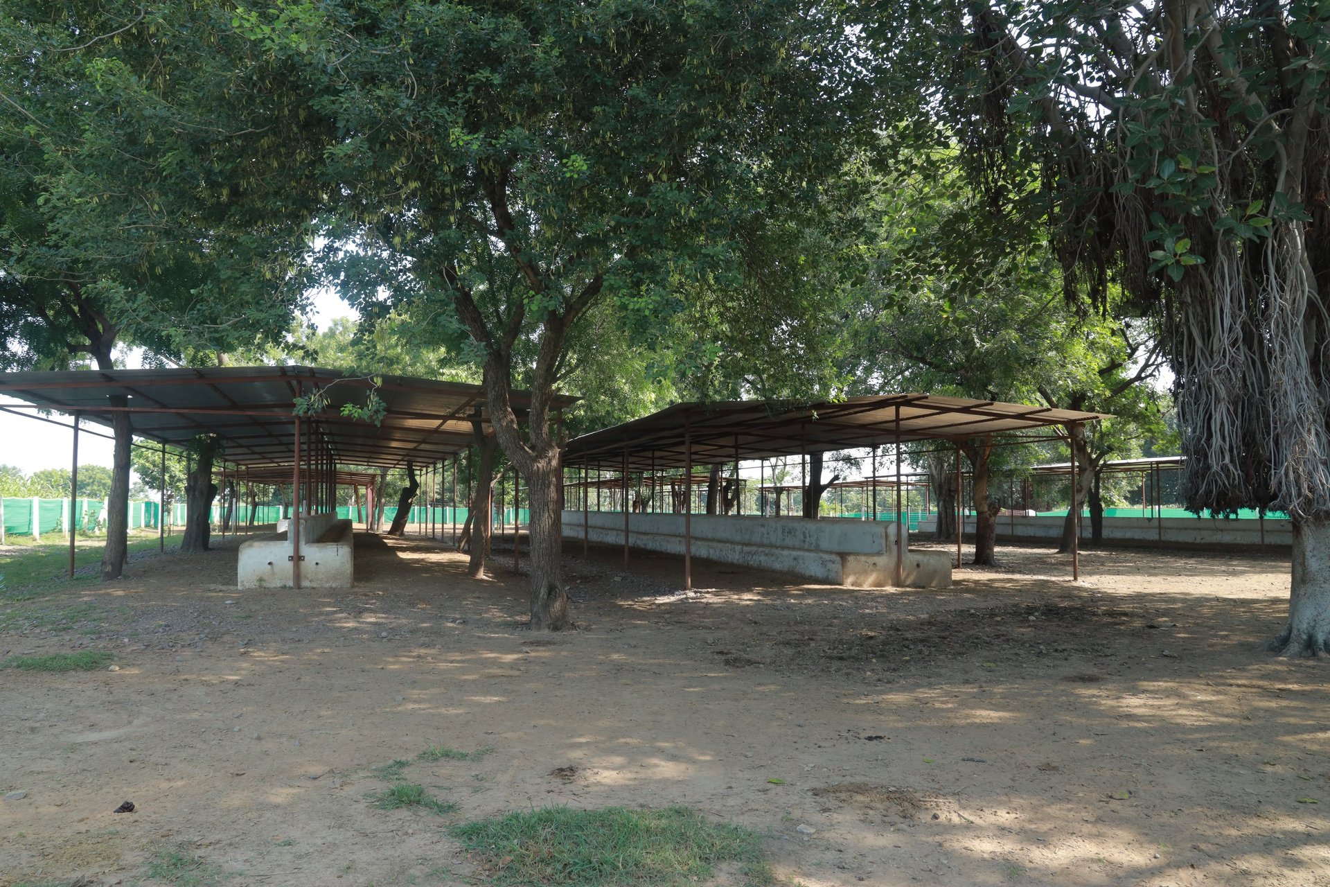 woman wearing yellow long-sleeved dress under white clouds and blue sky during daytime